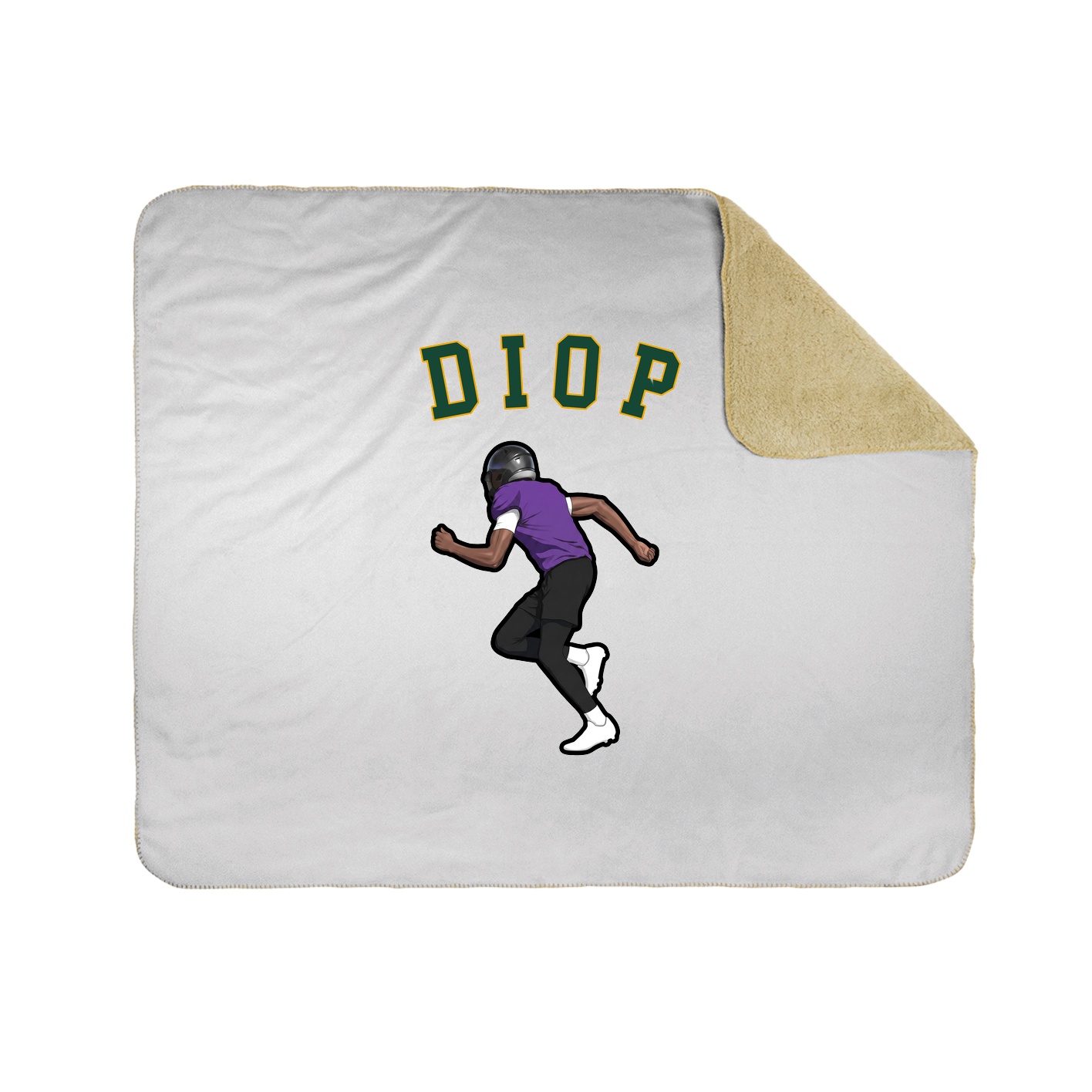 Throw Blanket — Shirsey Arch in White