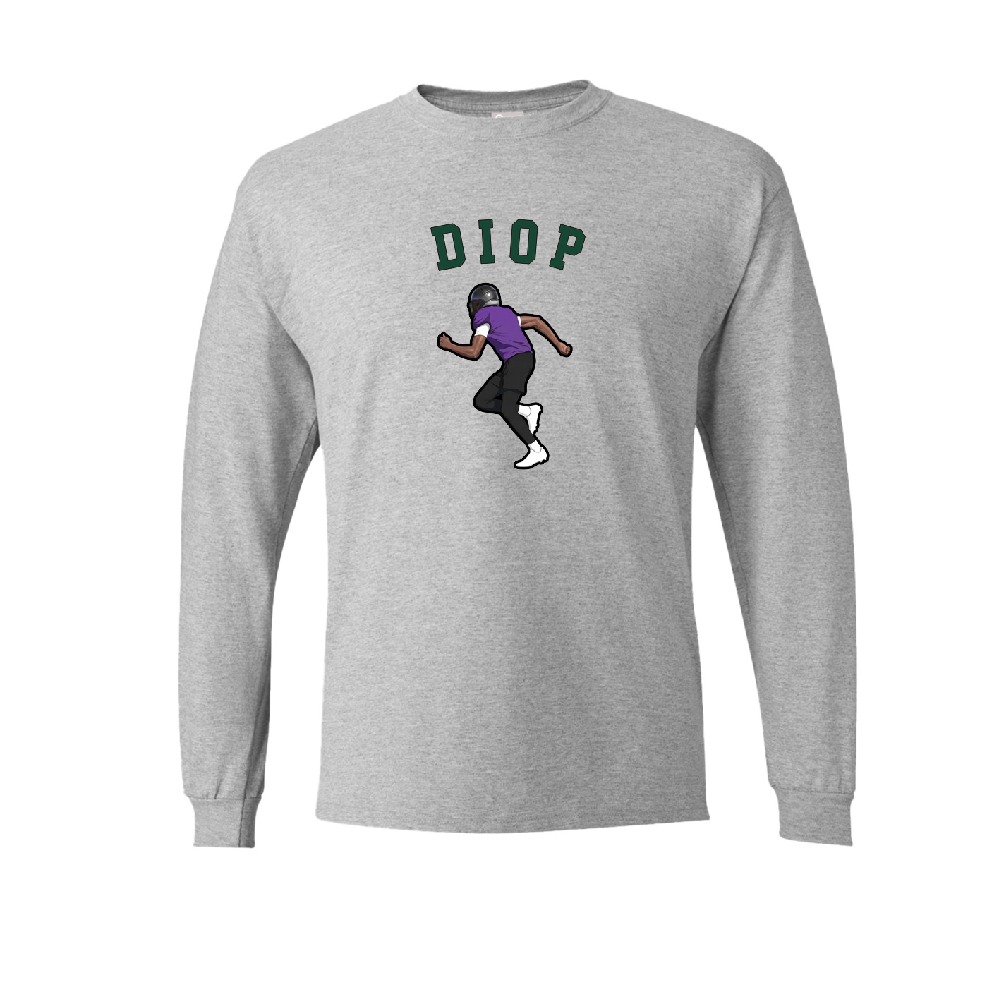 Long Sleeve Tee — Shirsey Arch in Grey