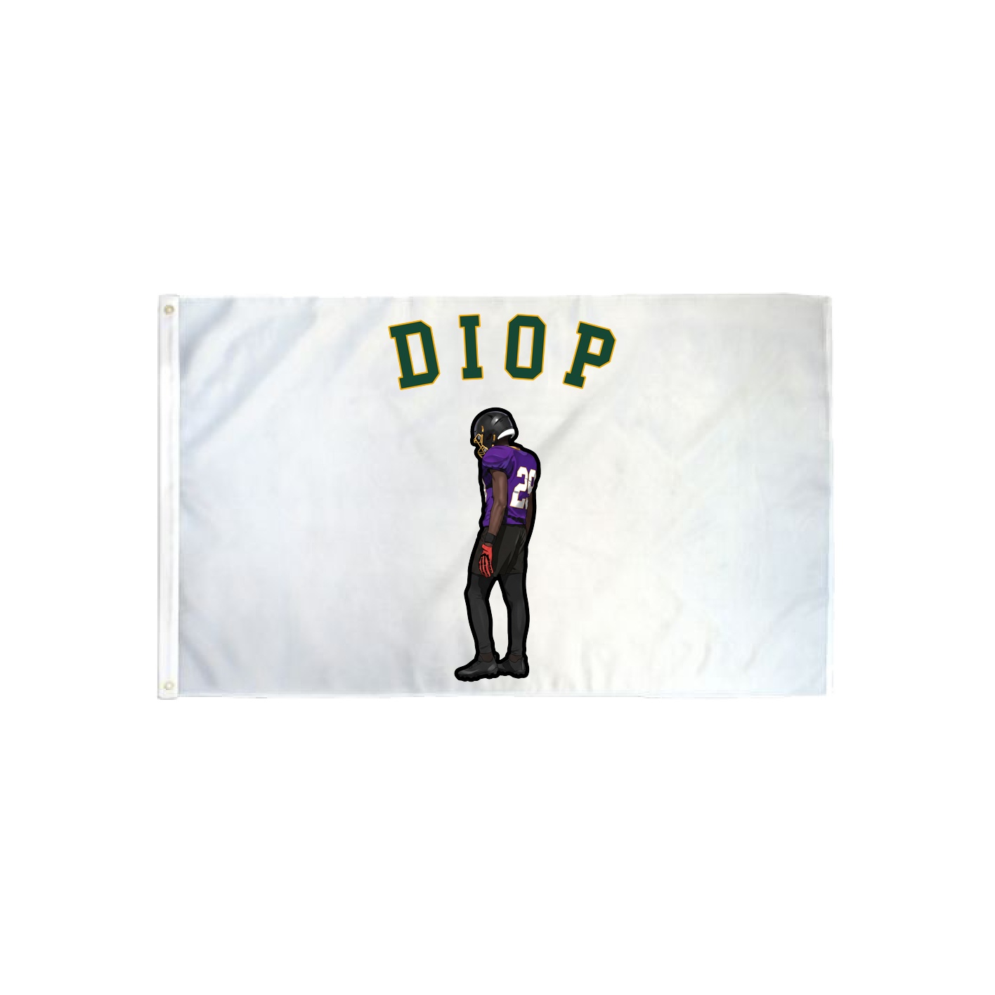 3x5 Flag — Shirsey Arch in Classic