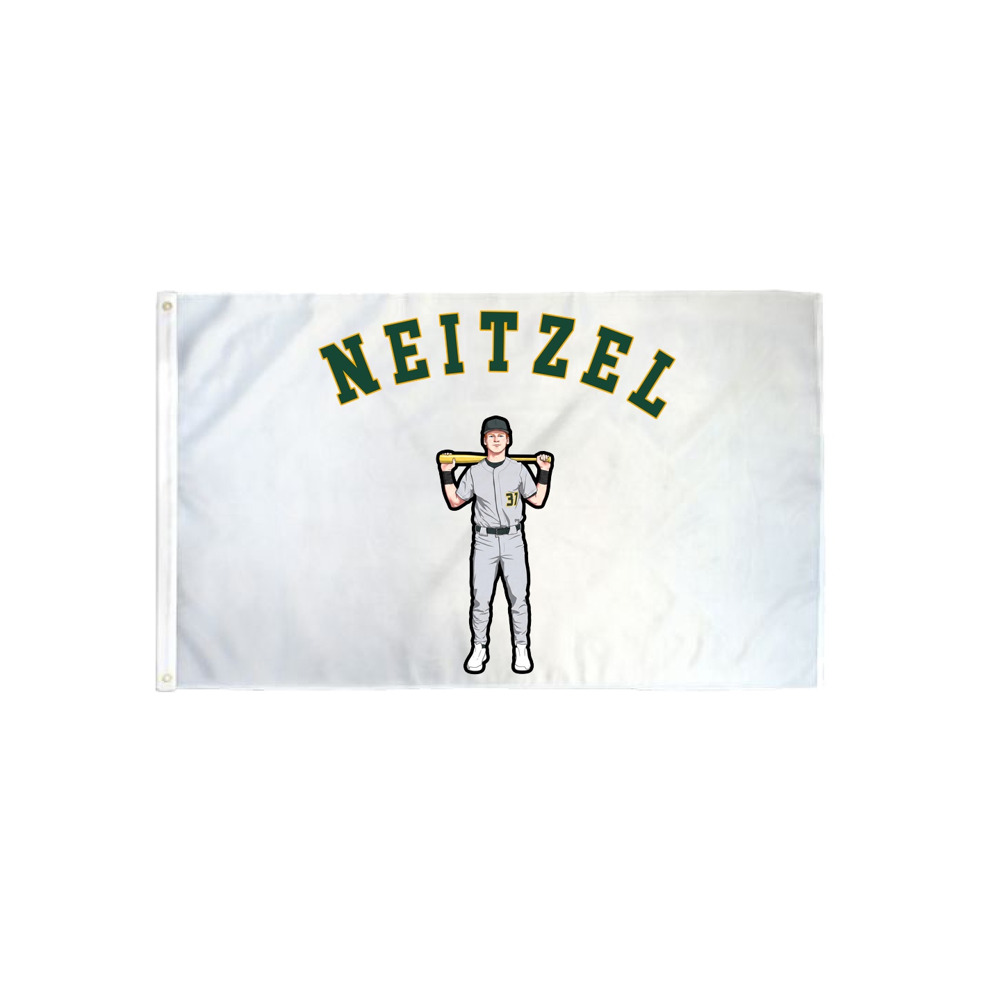 3x5 Flag — Shirsey Arch in Classic