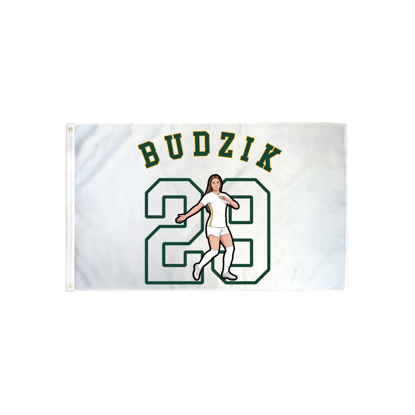 3x5 Flag — Shirsey Arch in Classic