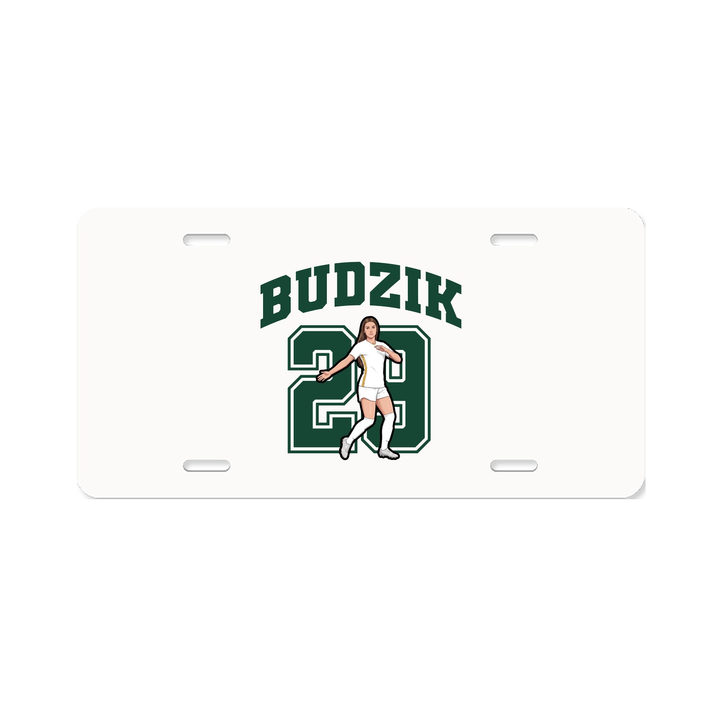 License Plate — Number in Classic