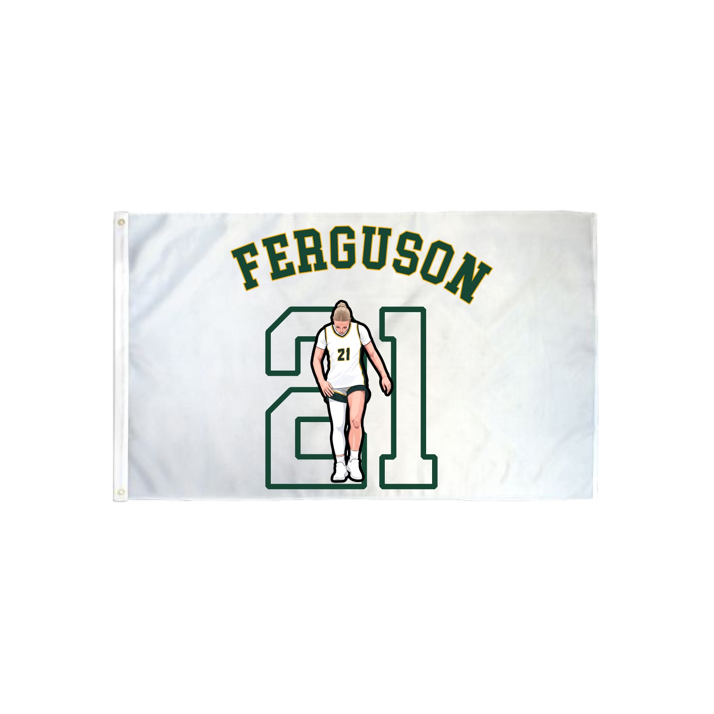 3x5 Flag — Shirsey Arch in Classic