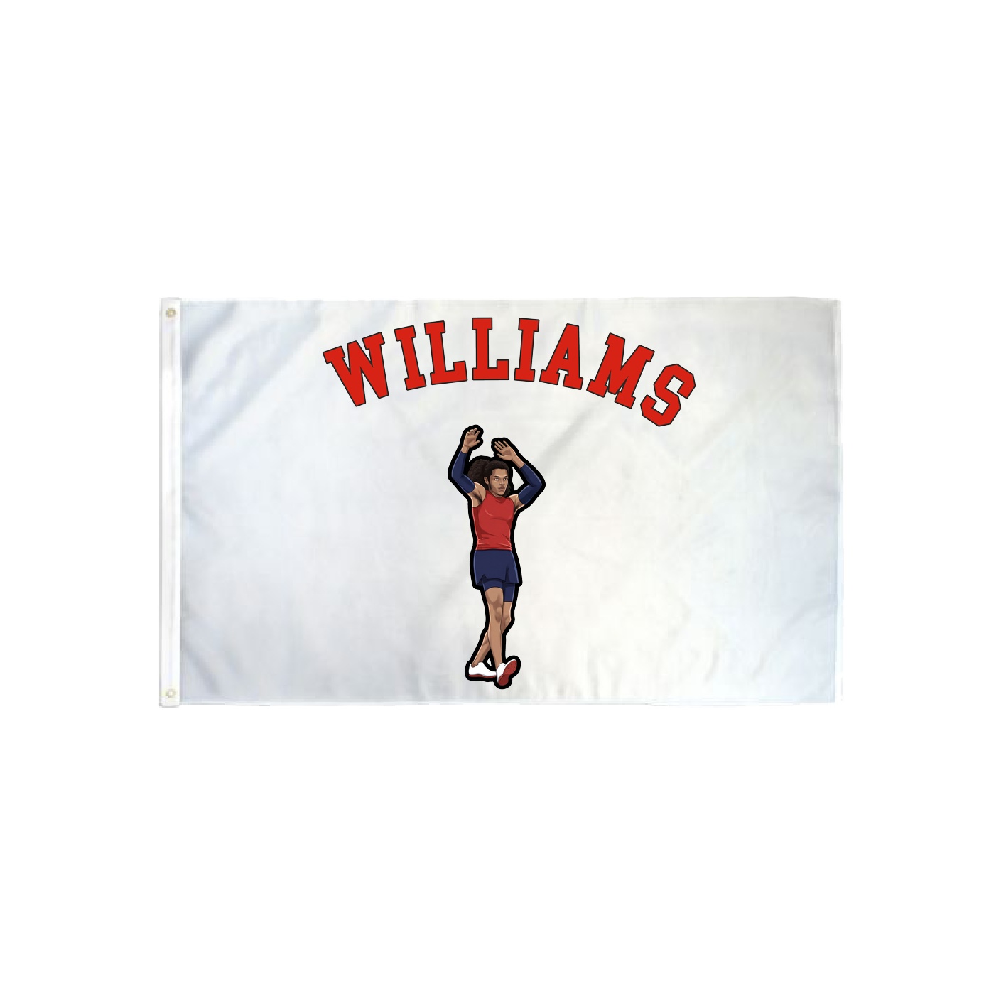 3x5 Flag — Shirsey Arch in Classic