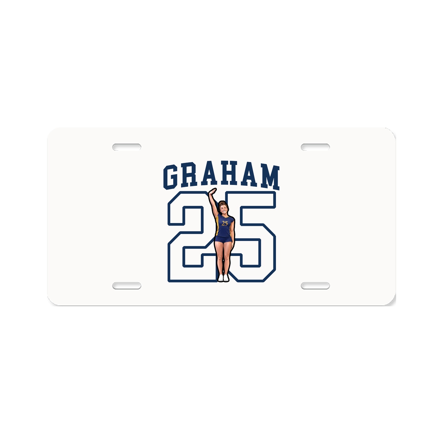 Aluminum License Plate