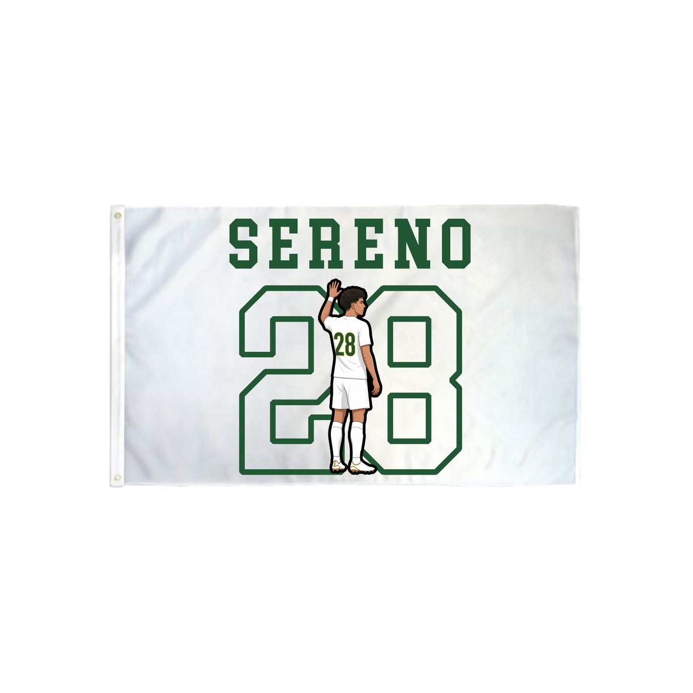 3x5 Flag — Shirsey in Classic
