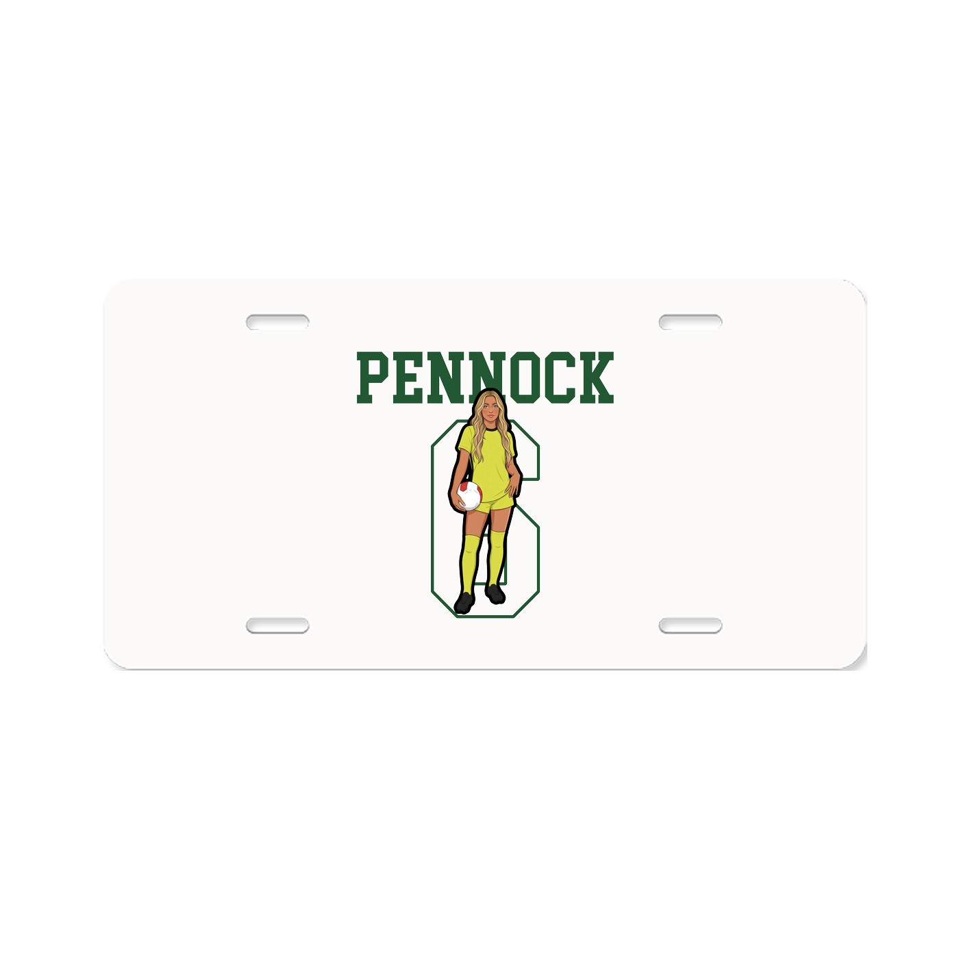 Aluminum License Plate
