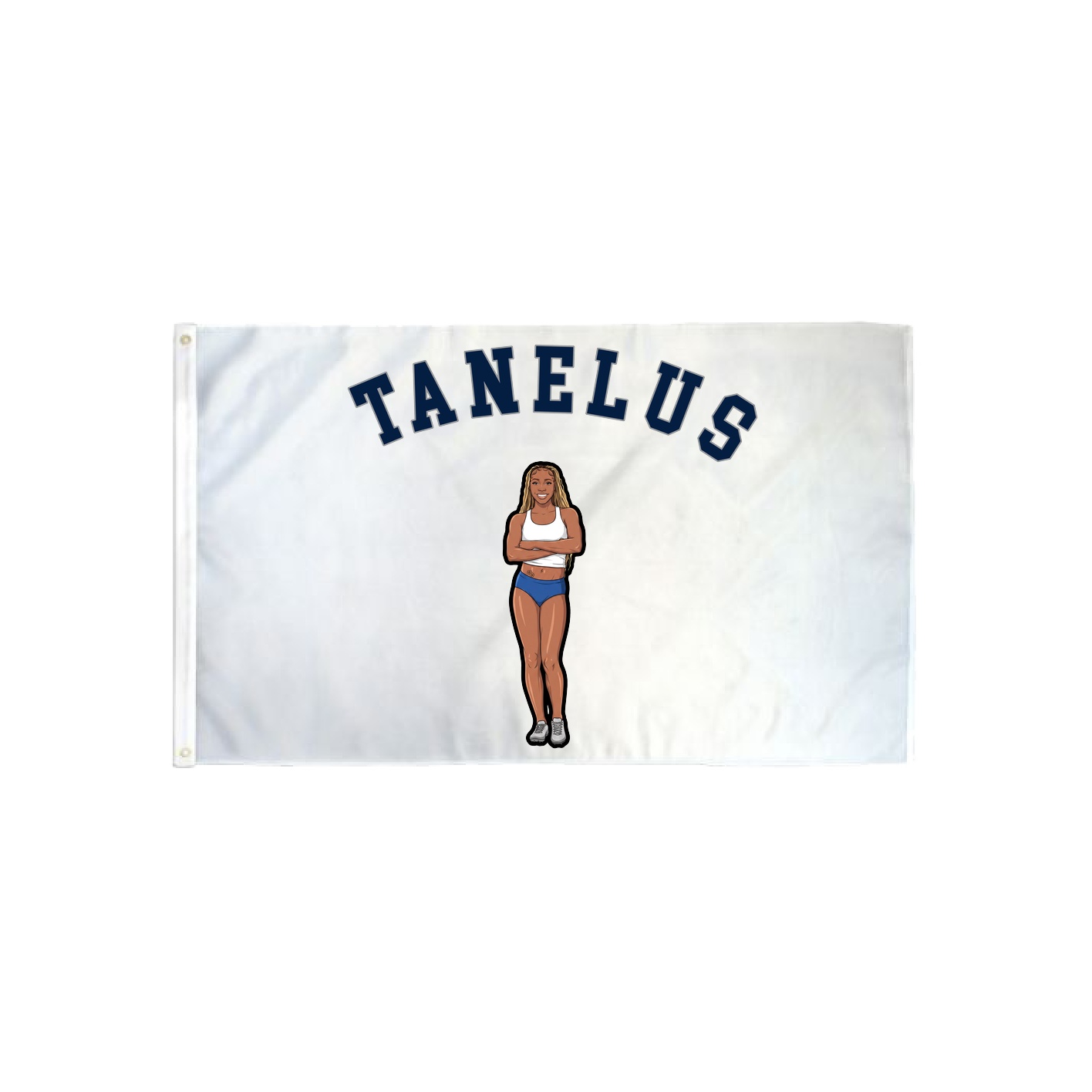 3x5 Flag — Shirsey Arch in Classic