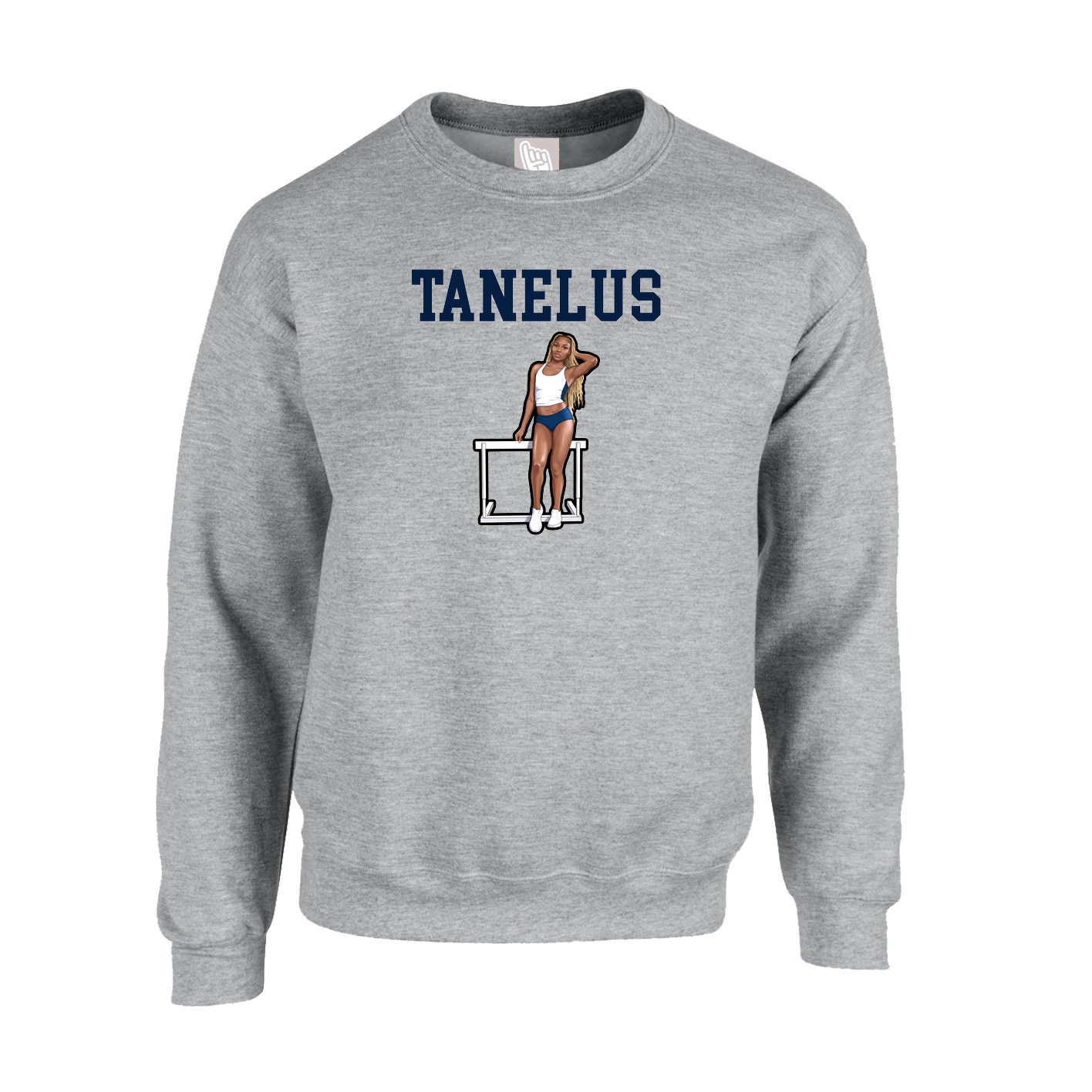 Fleece Crew — Shirsey in Grey