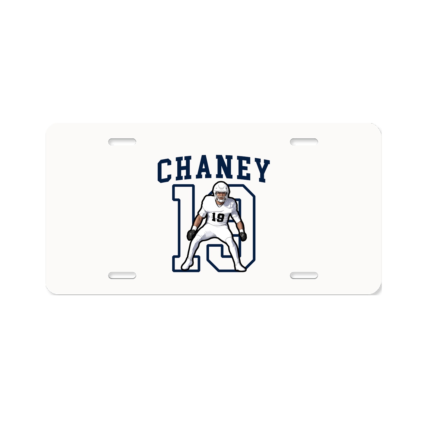 Aluminum License Plate