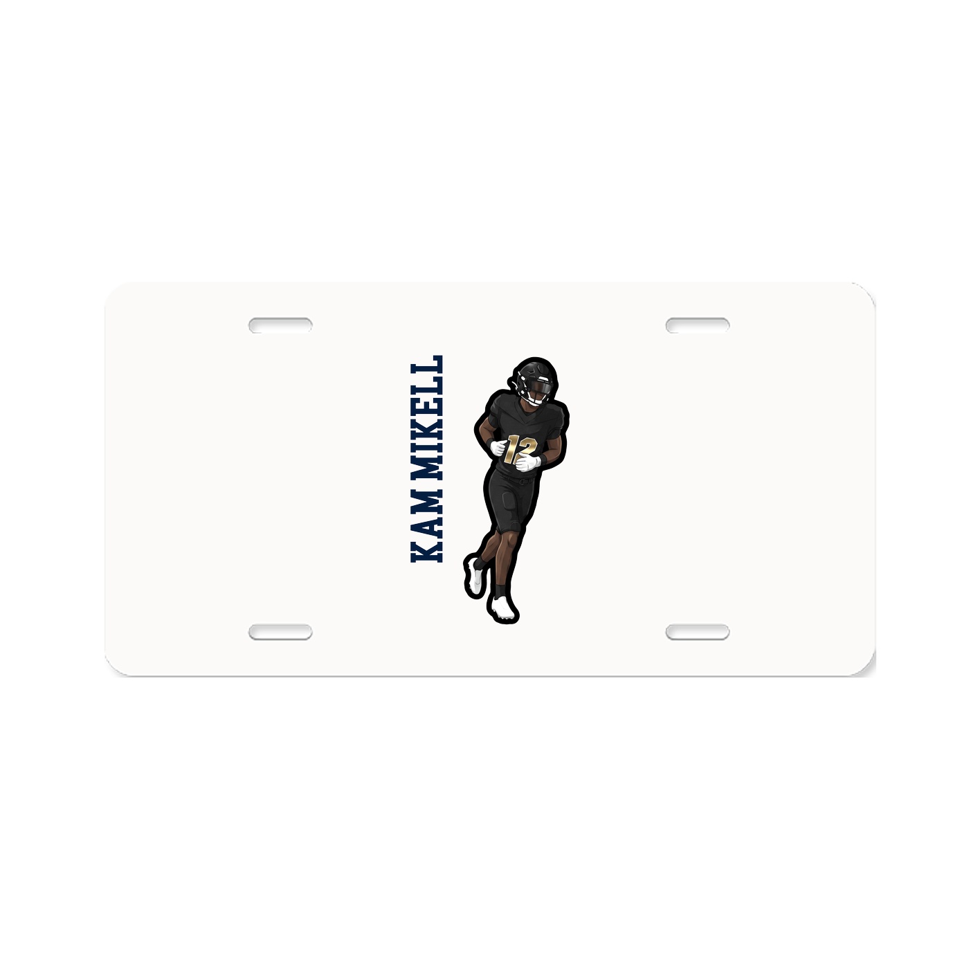 Aluminum License Plate