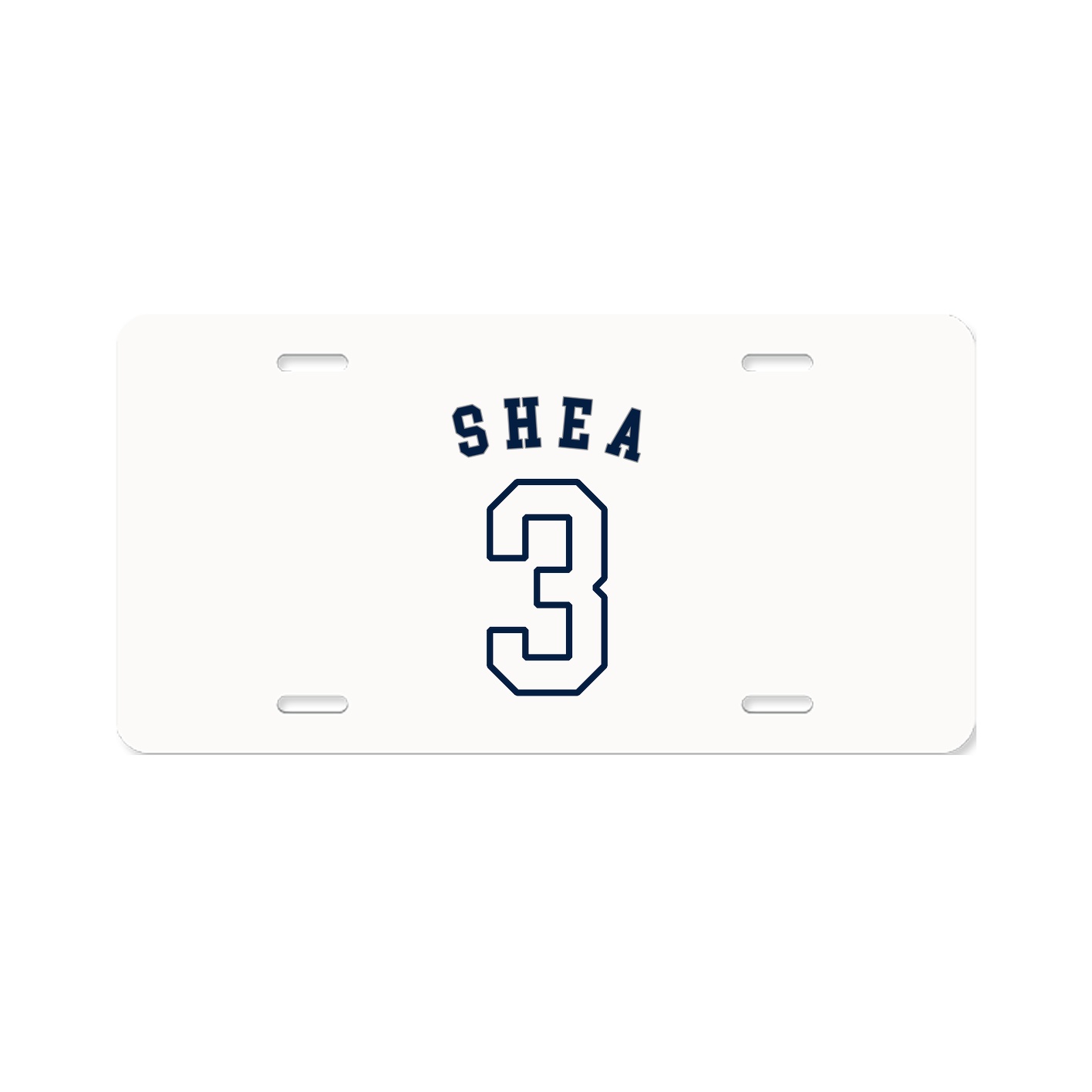 License Plate
