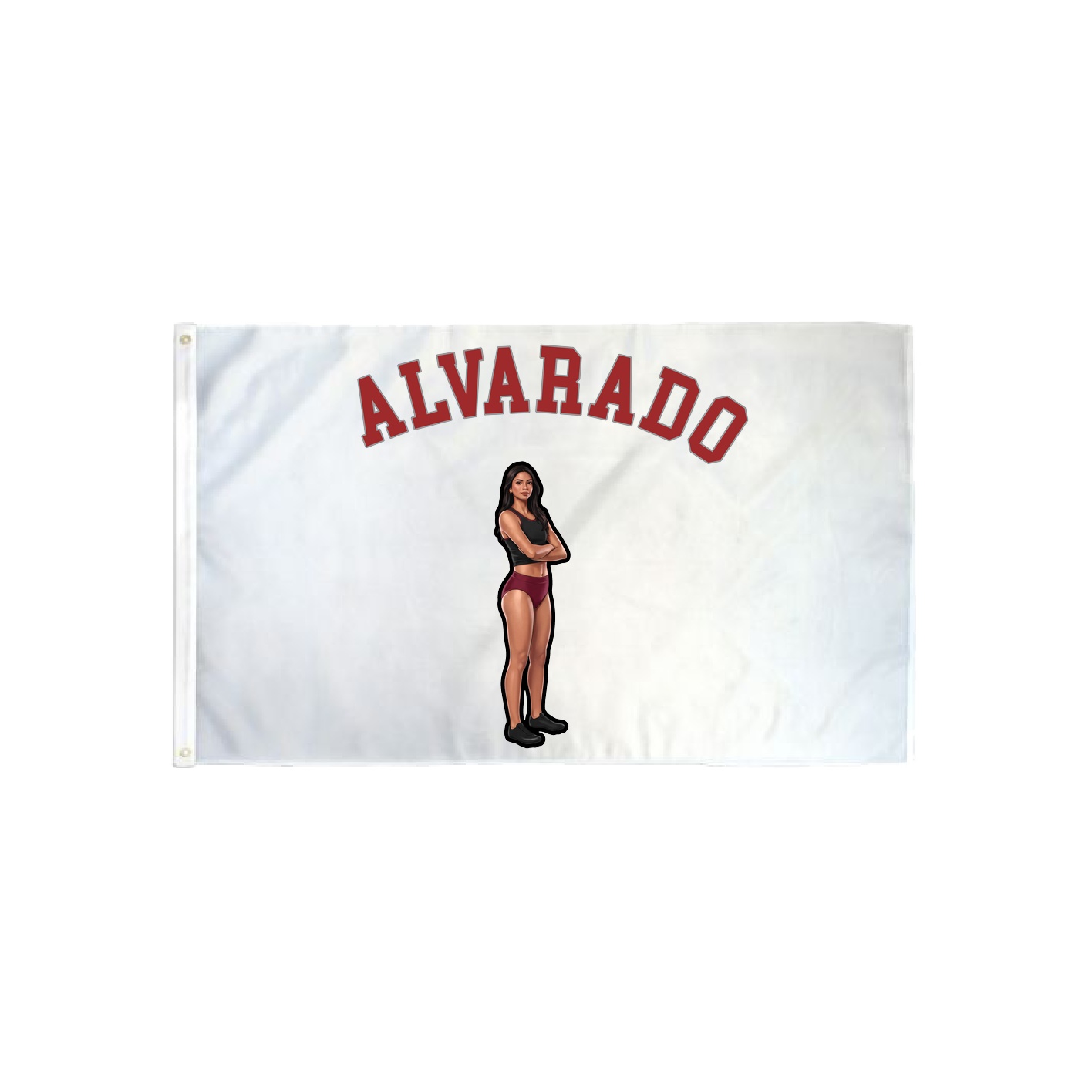 3x5 Flag — Shirsey Arch in Classic