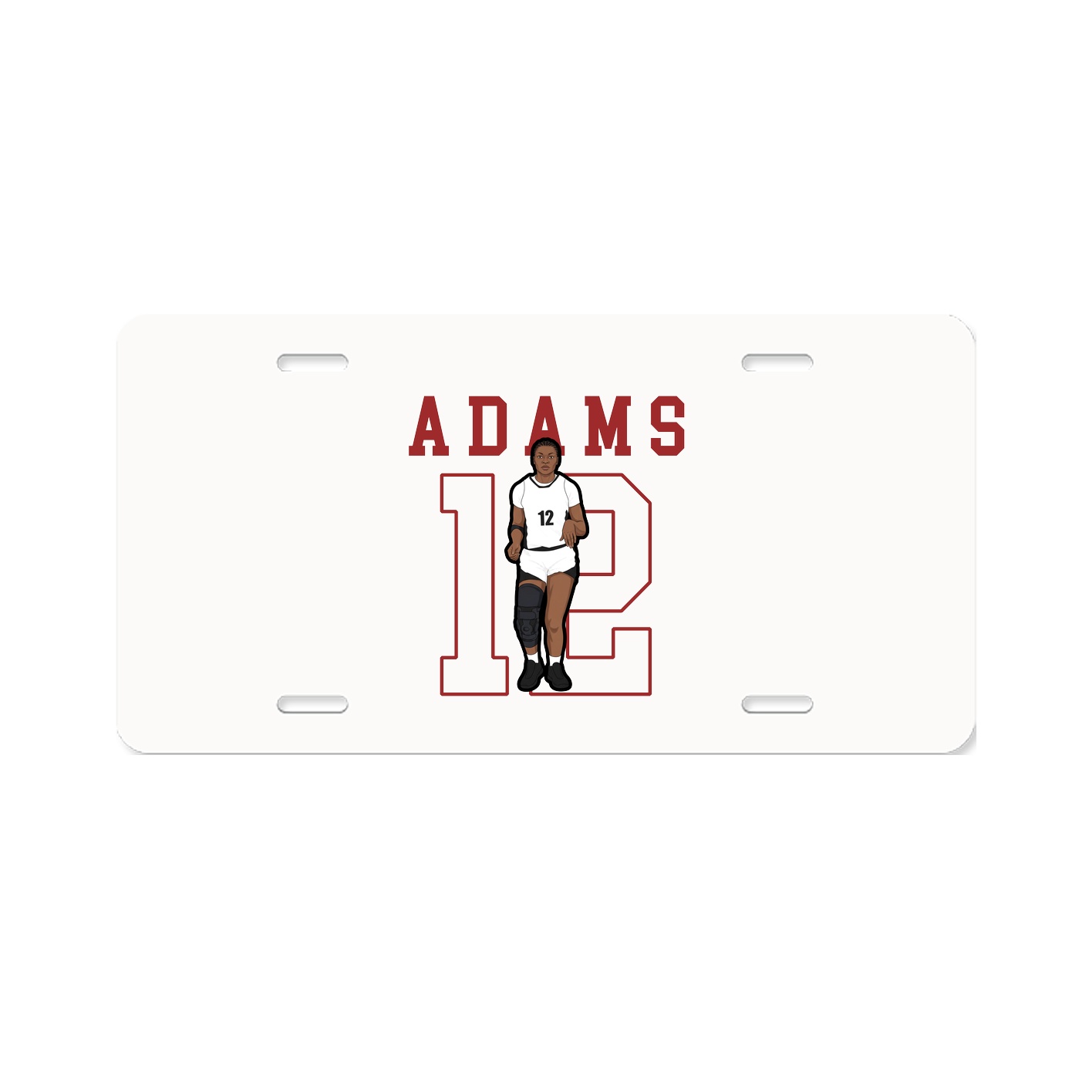 Aluminum License Plate