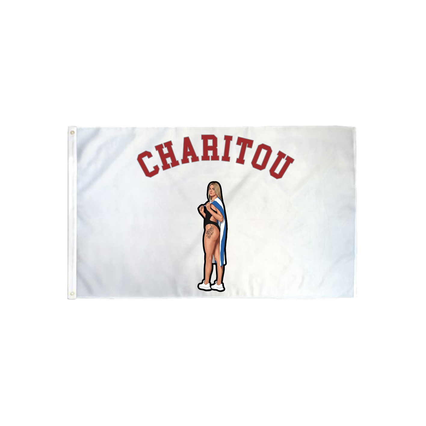 3x5 Flag — Shirsey Arch in Classic
