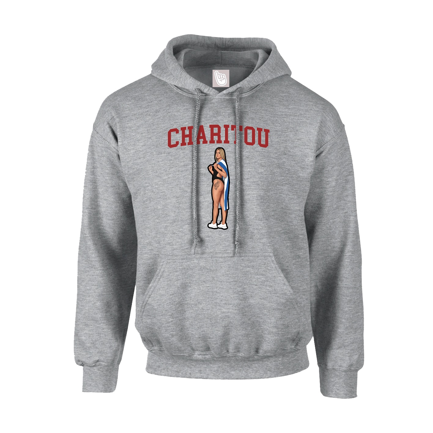 Hoodie — Shirsey in Grey