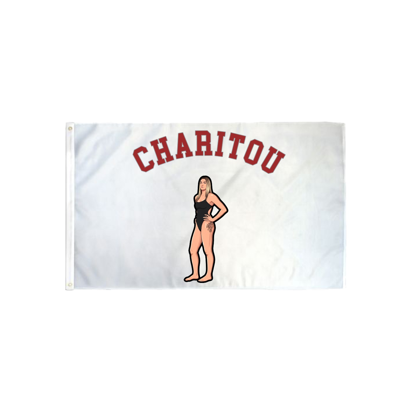 3x5 Flag — Shirsey Arch in Classic