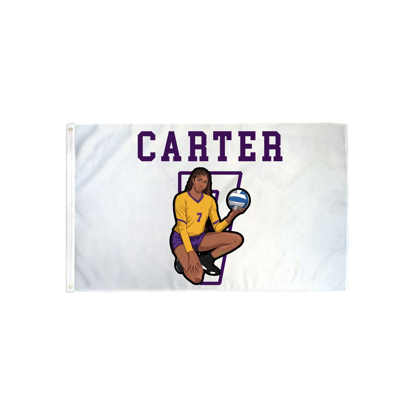 3x5 Flag — Shirsey in Classic