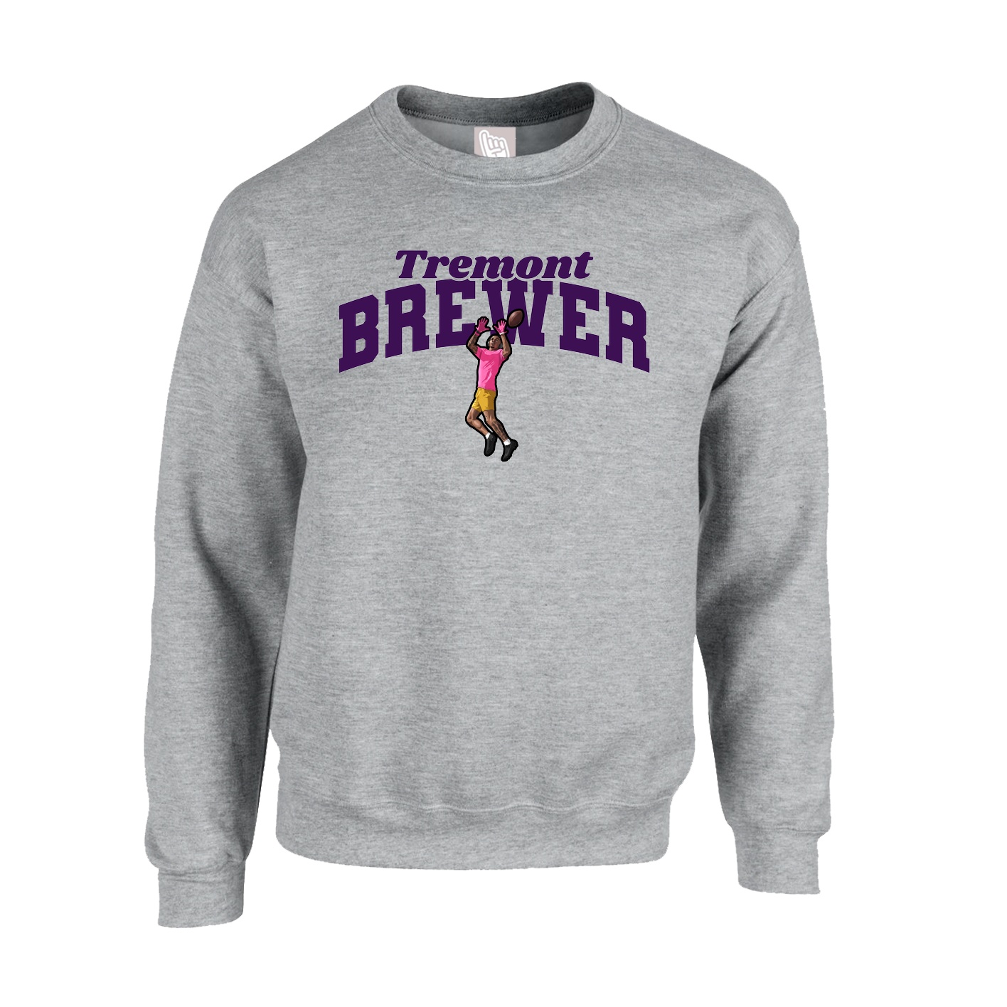Fleece Crew — Signature Arch in Grey