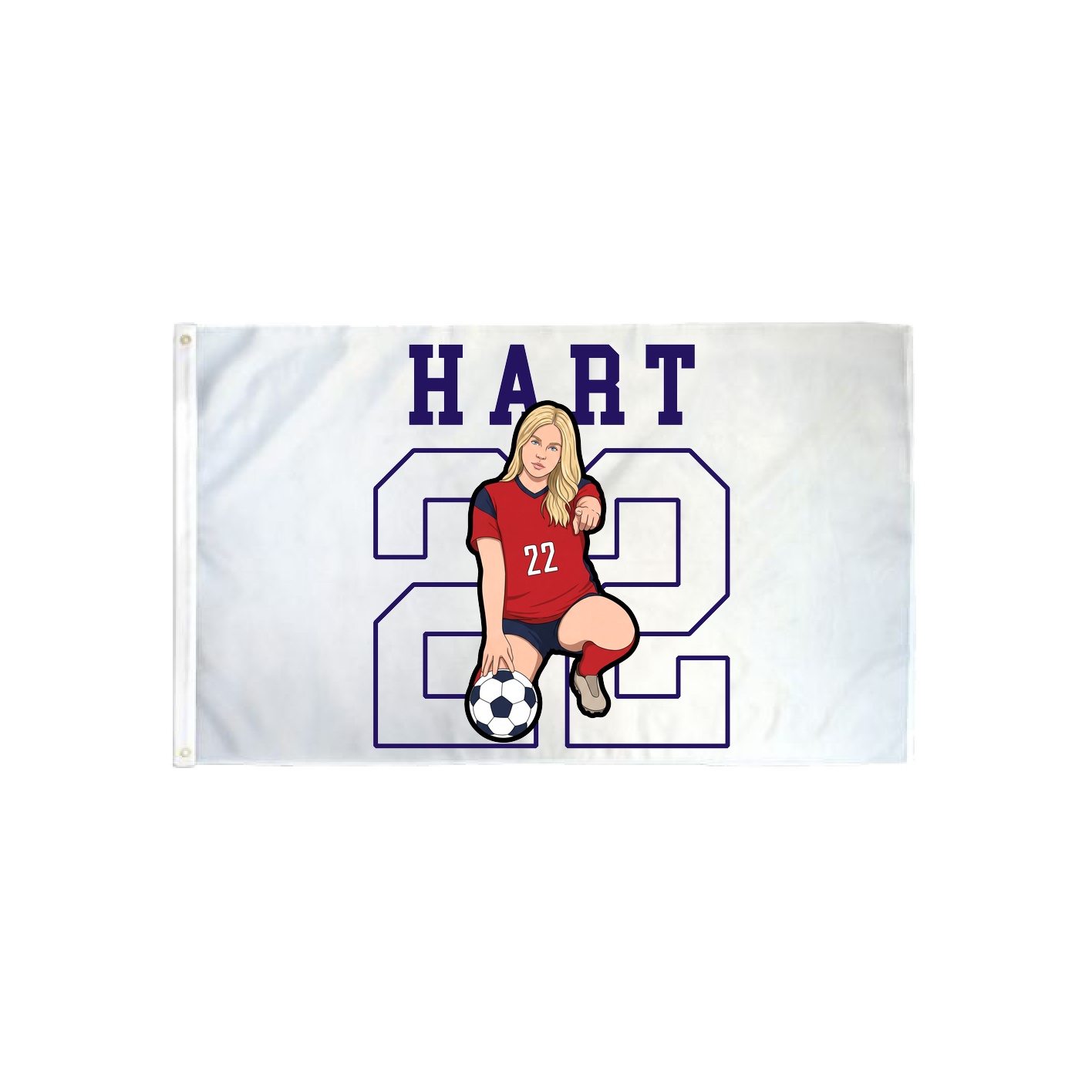 3x5 Flag — Shirsey in Classic