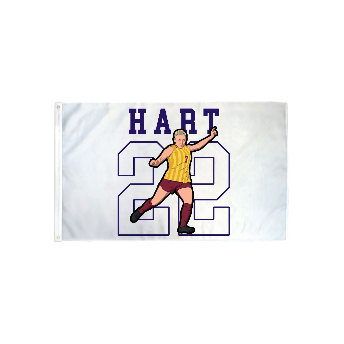 3x5 Flag — Shirsey in Classic