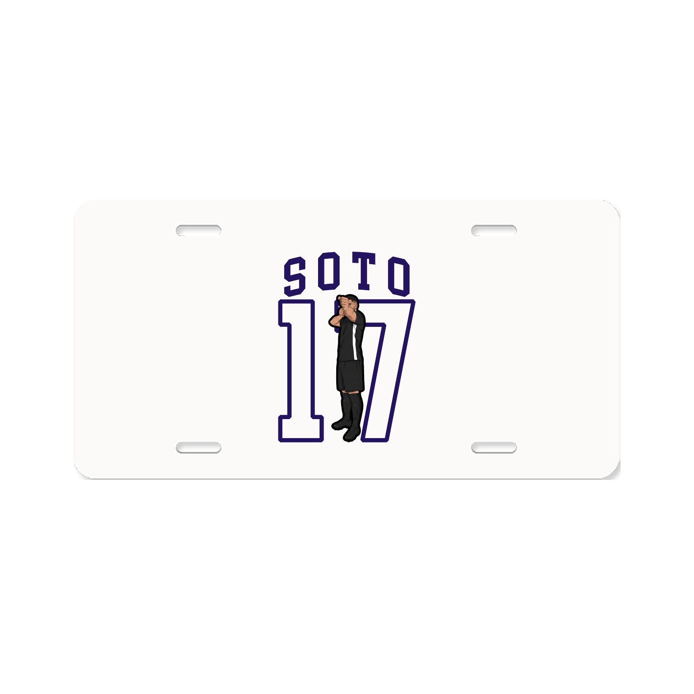 Aluminum License Plate