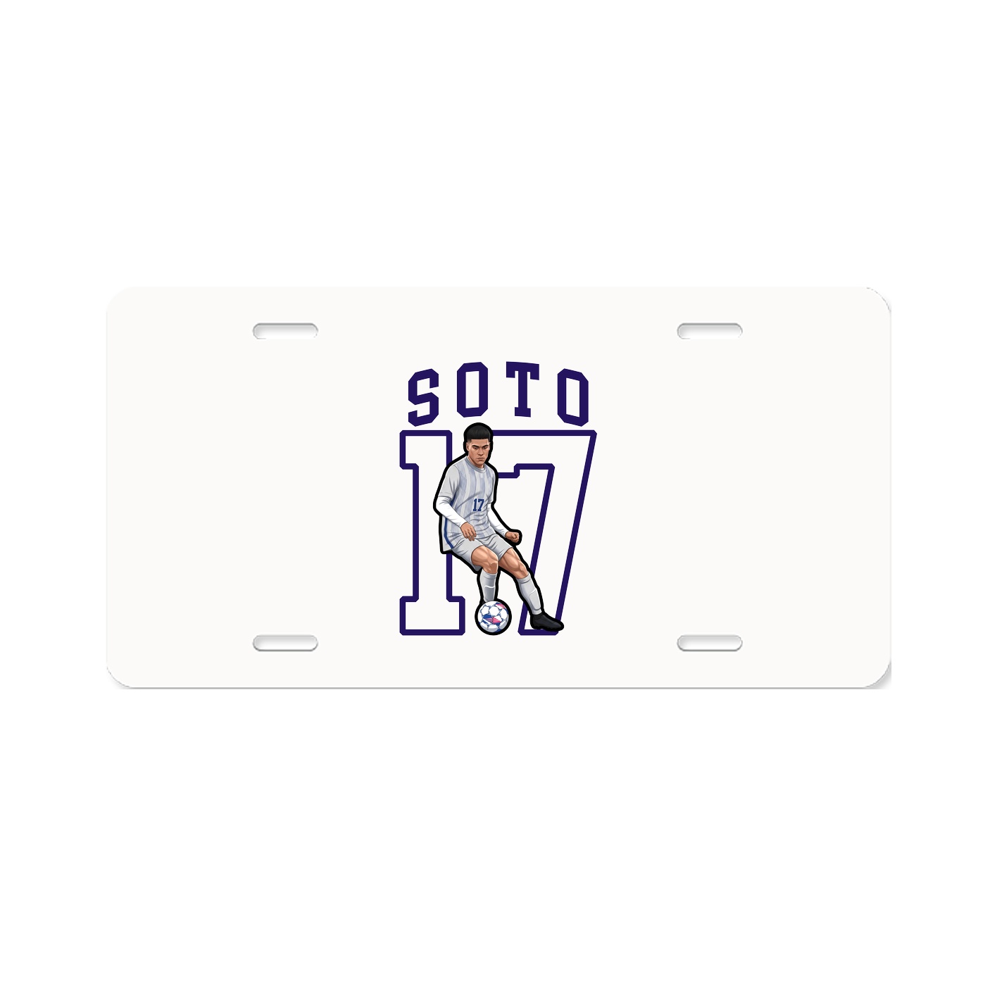 Aluminum License Plate