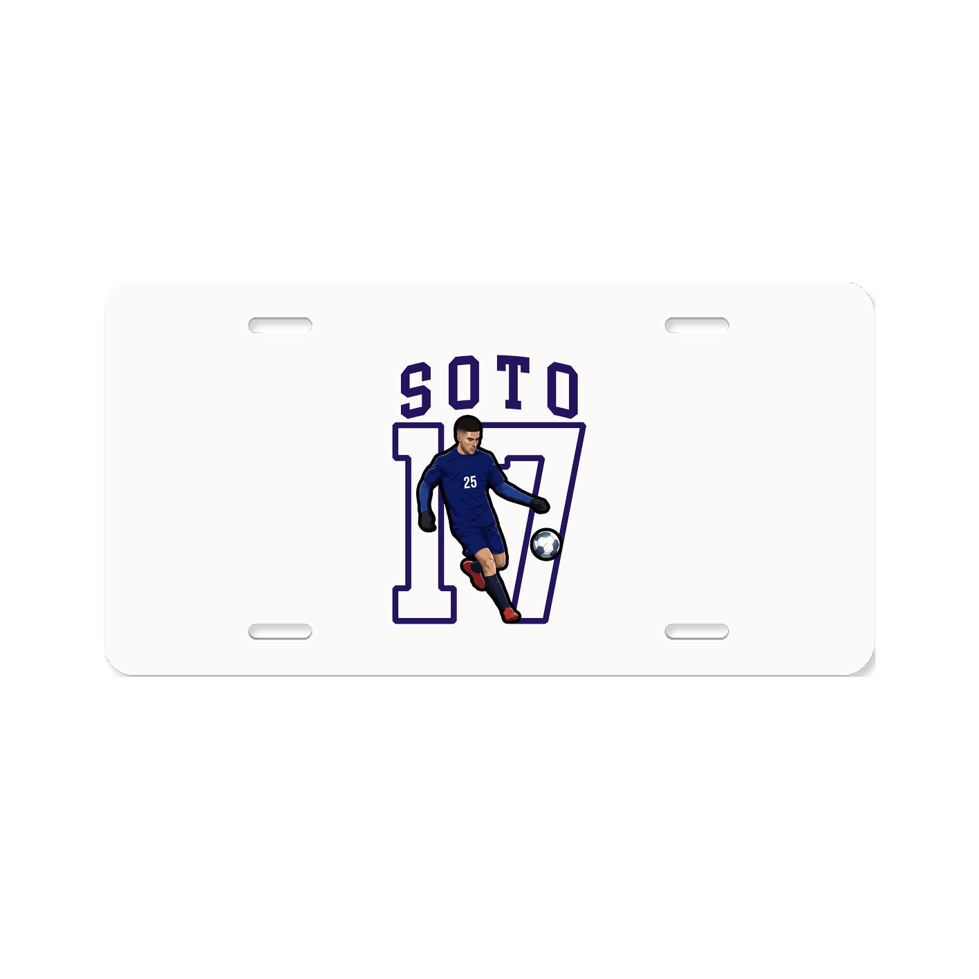 Aluminum License Plate