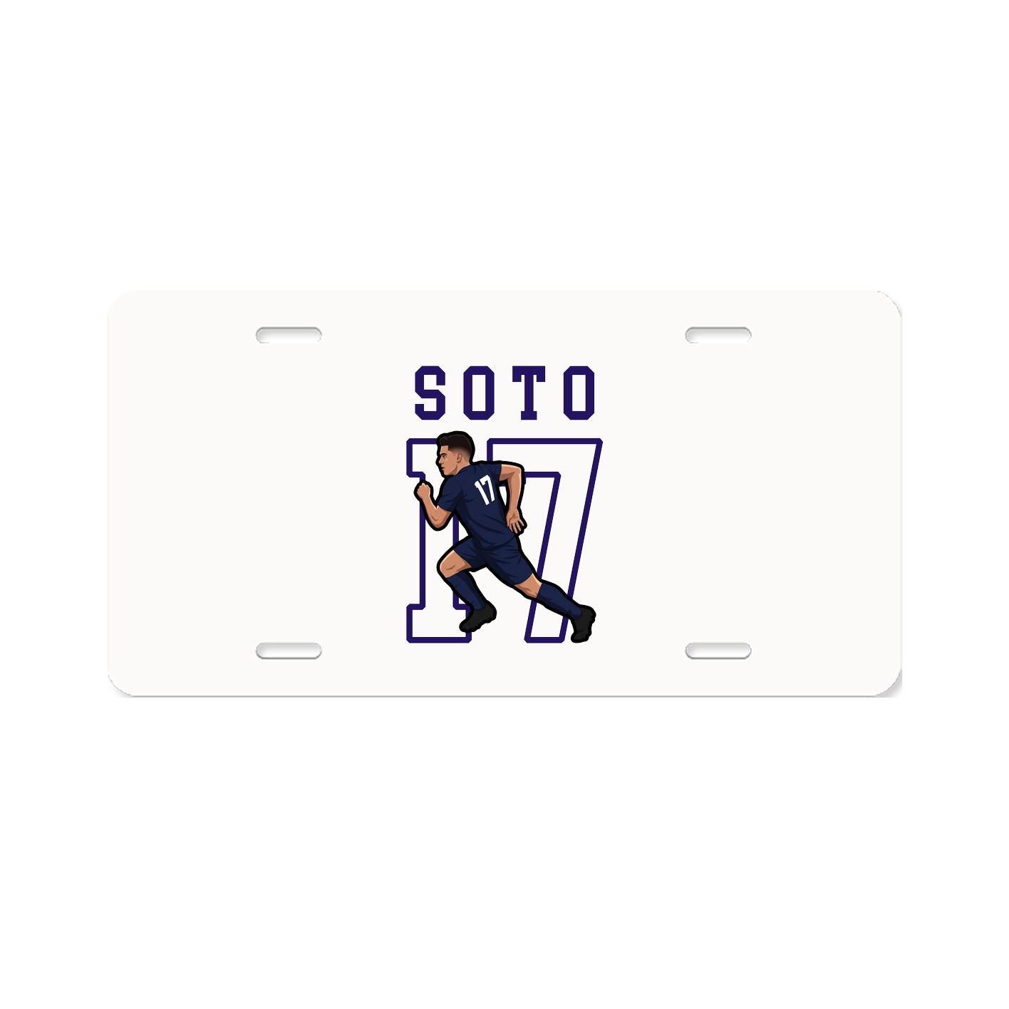 Aluminum License Plate