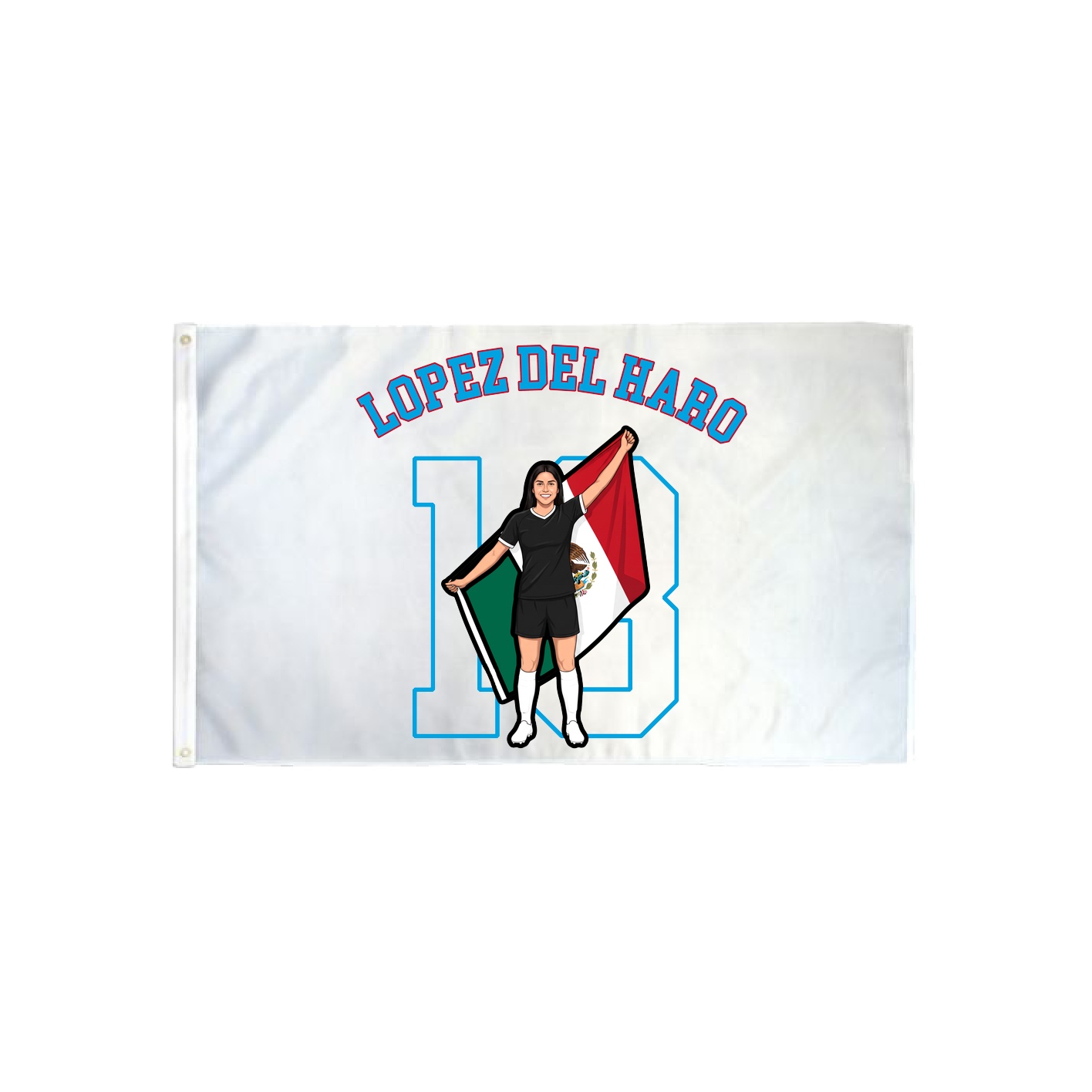 3x5 Flag — Shirsey Arch in Classic