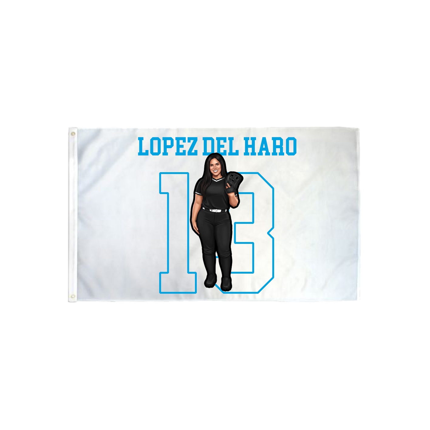 3x5 Flag — Shirsey in Classic