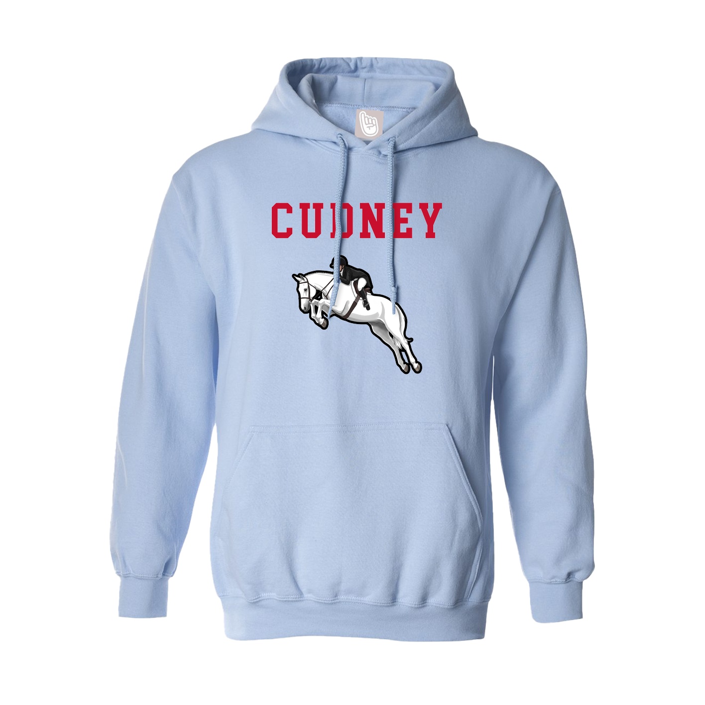 Hoodie — Shirsey in Light Blue