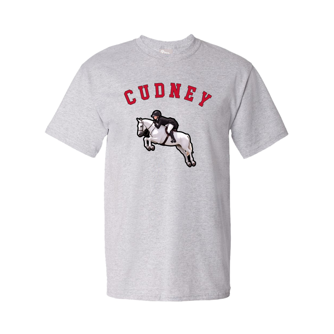 Tee — Shirsey Arch in Grey