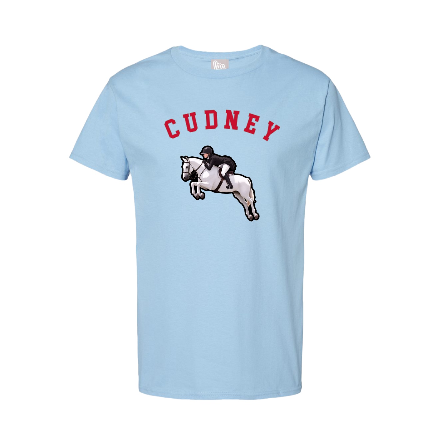 Youth Tee — Shirsey Arch in Light Blue