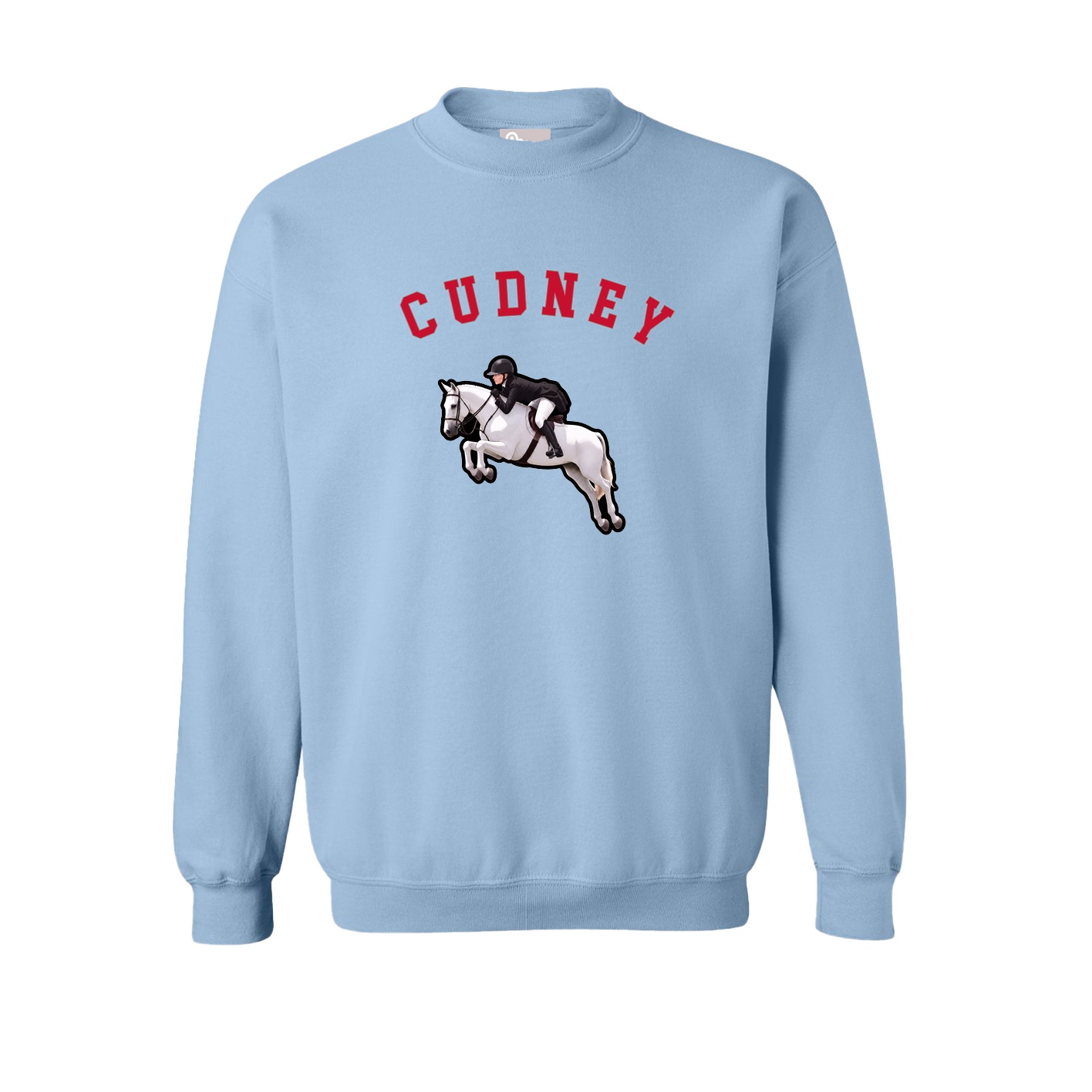 Fleece Crew — Shirsey Arch in Light Blue