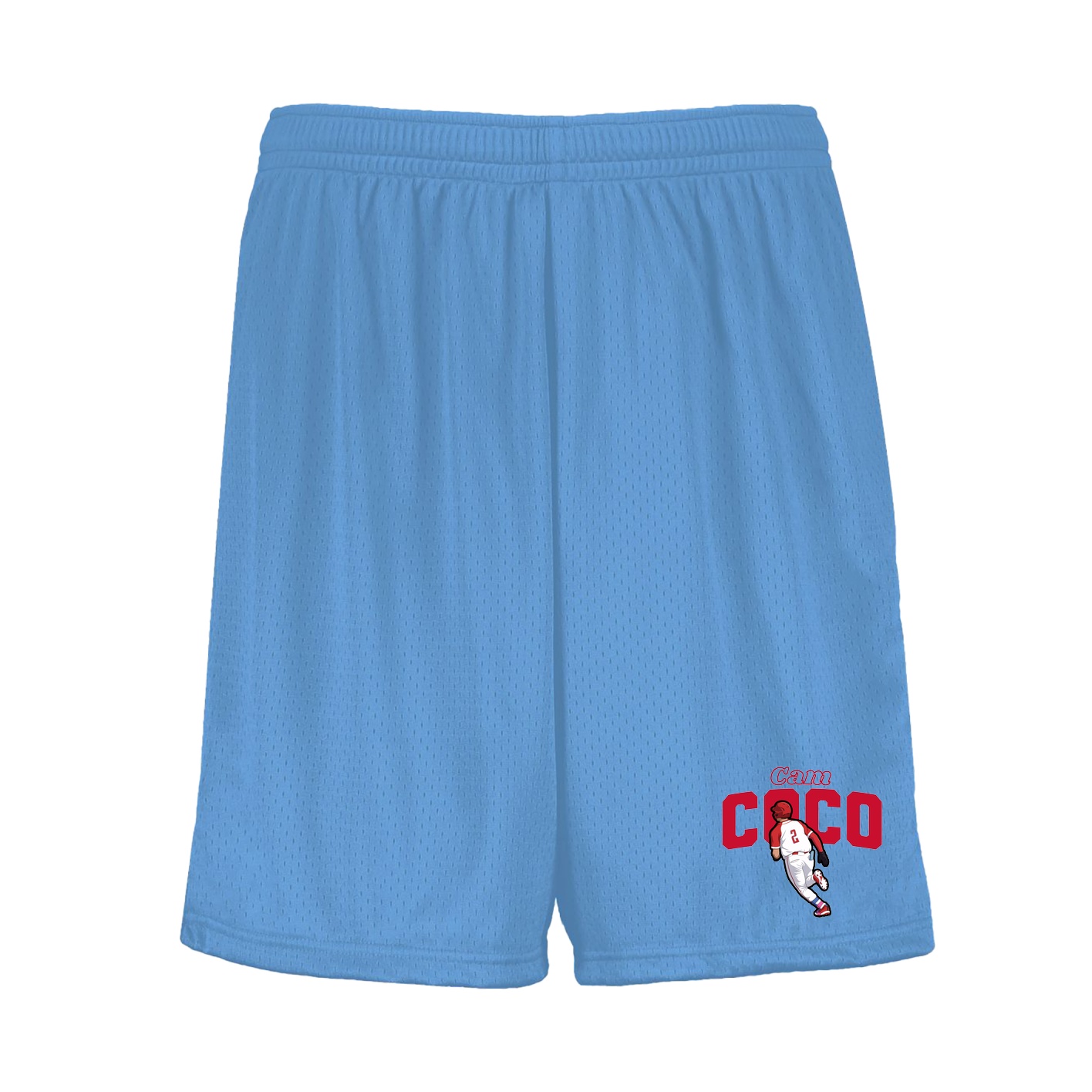 Shorts — Name Arch in Light Blue