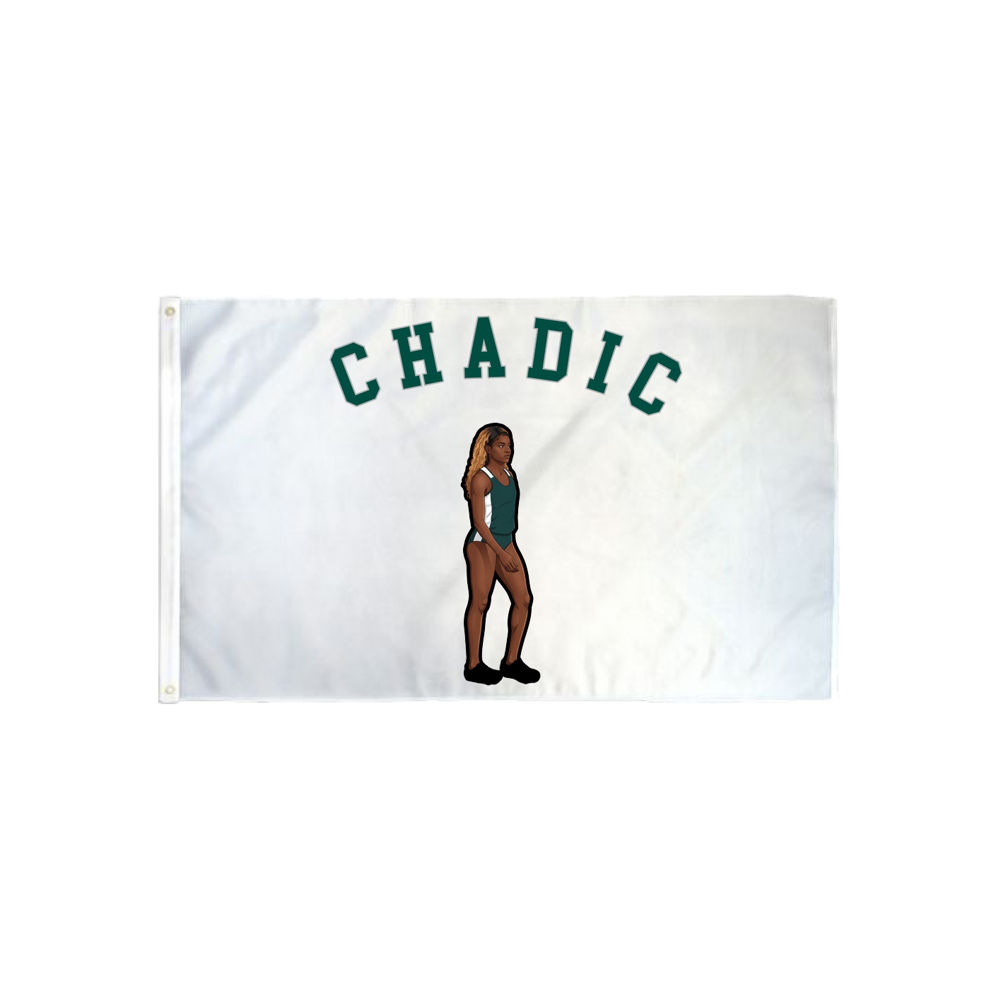 3x5 Flag — Shirsey Arch in Classic