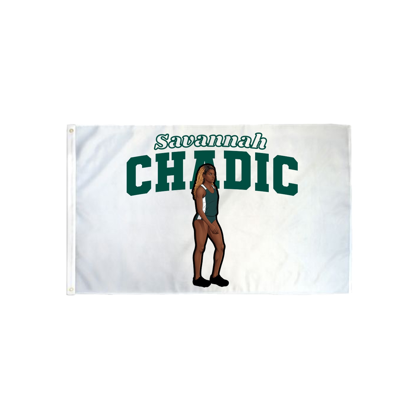 3x5 Flag — Name Arch in Classic
