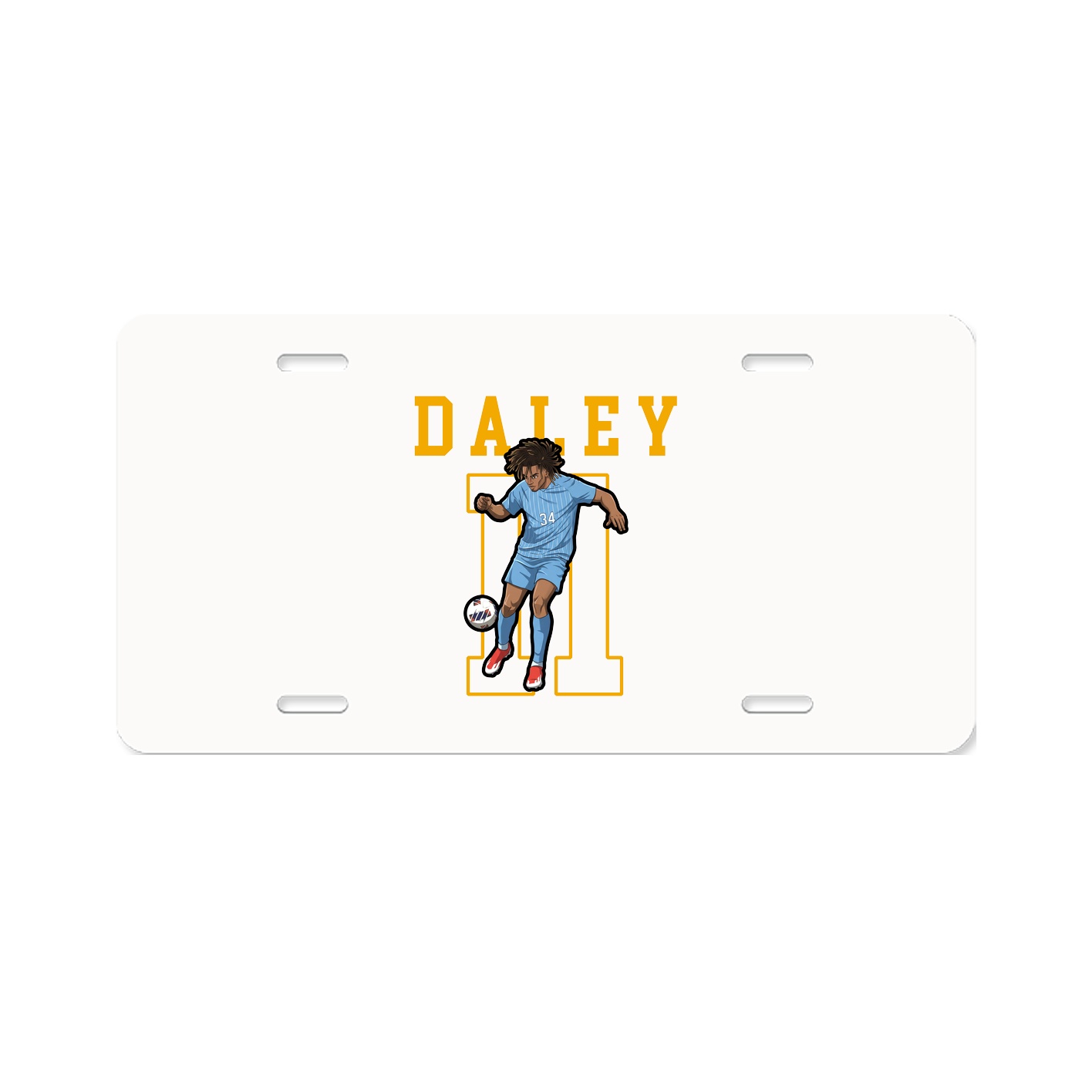 License Plate