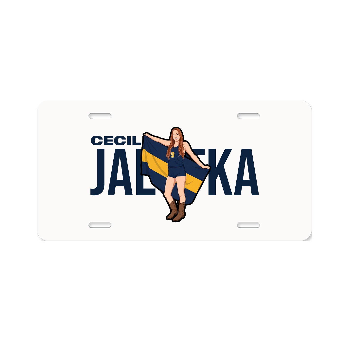License Plate