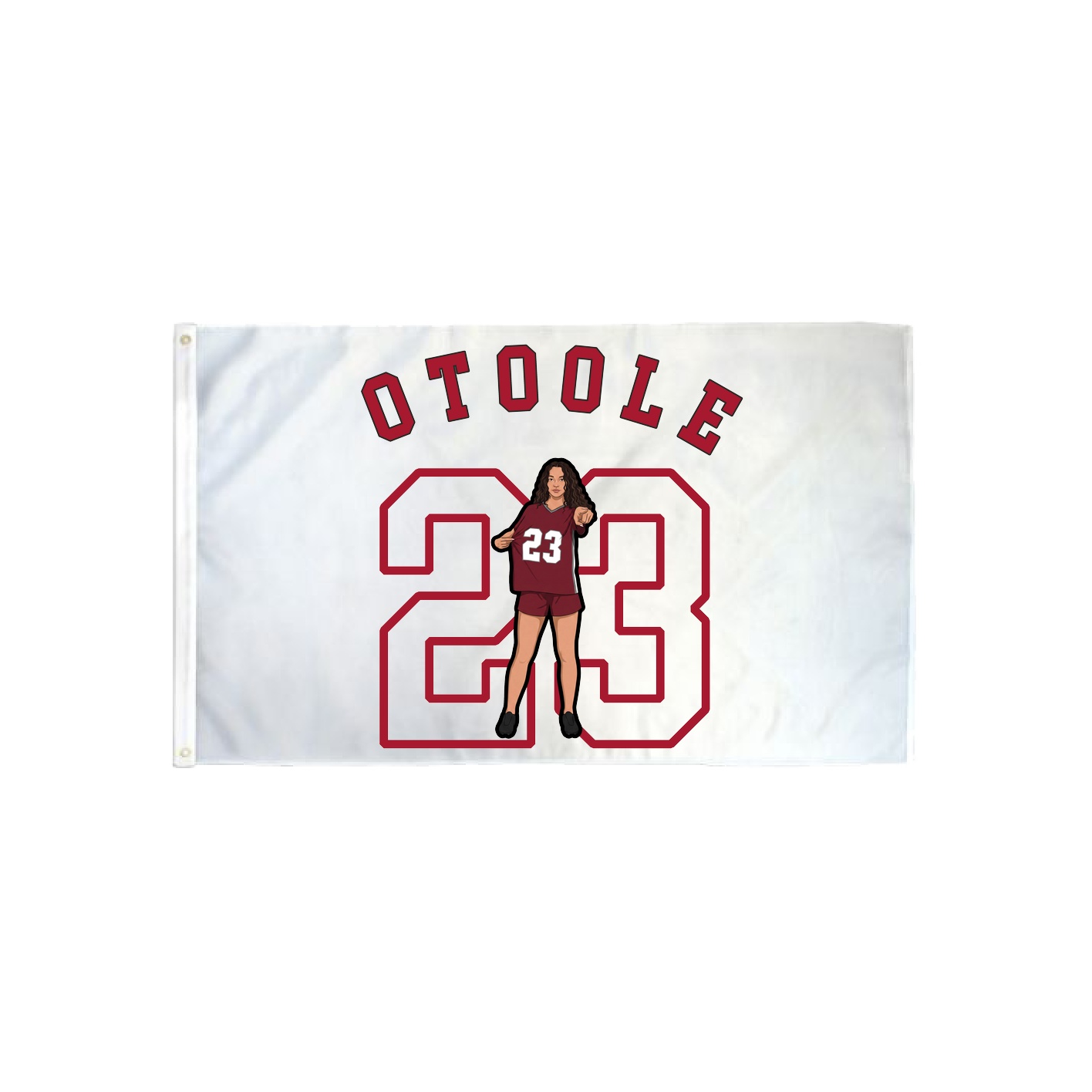 3x5 Flag — Shirsey Arch in Classic