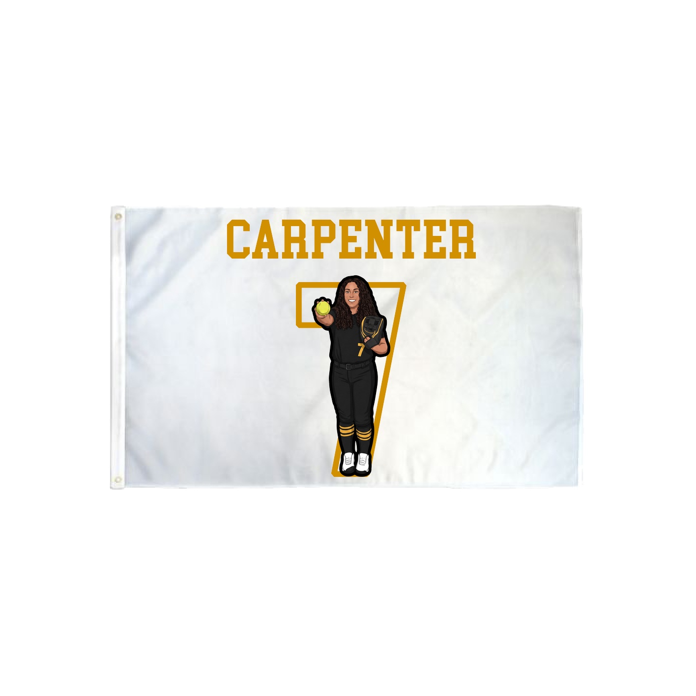 3x5 Flag — Shirsey in Classic