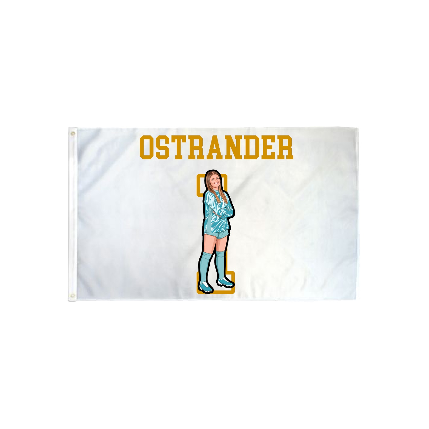 3x5 Flag — Shirsey in Classic
