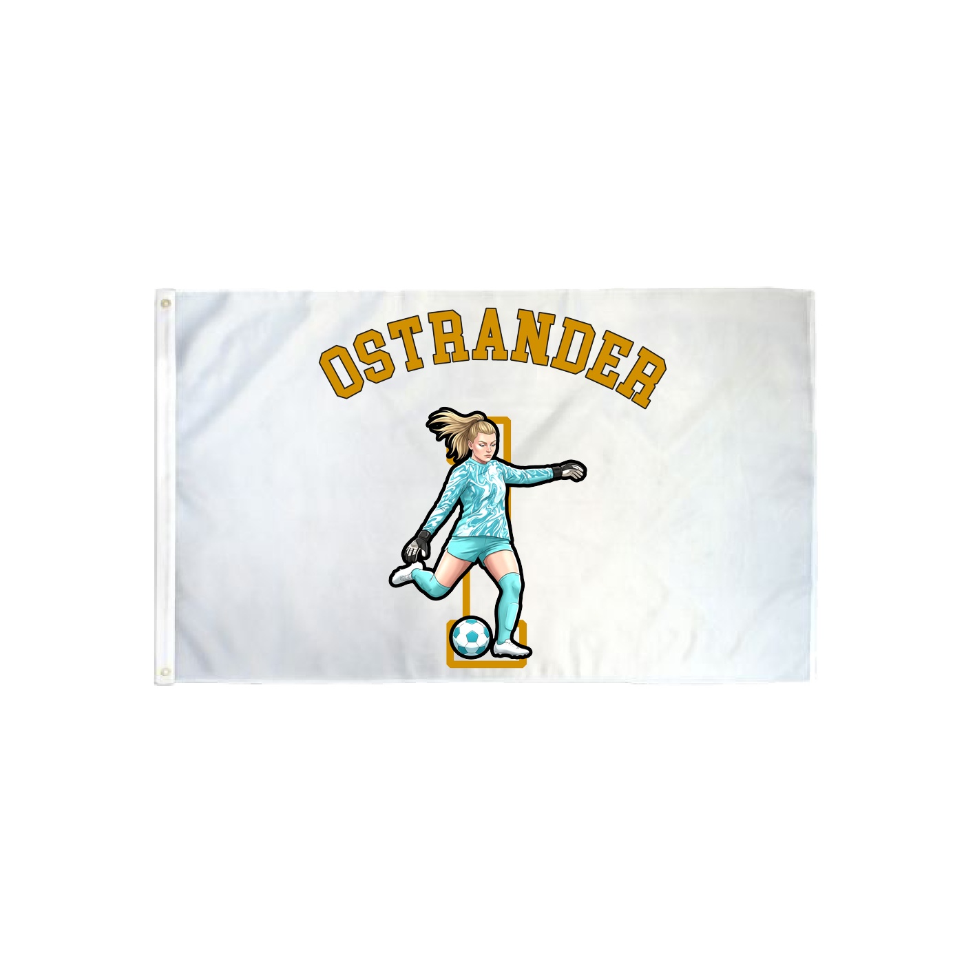 3x5 Flag — Shirsey Arch in Classic
