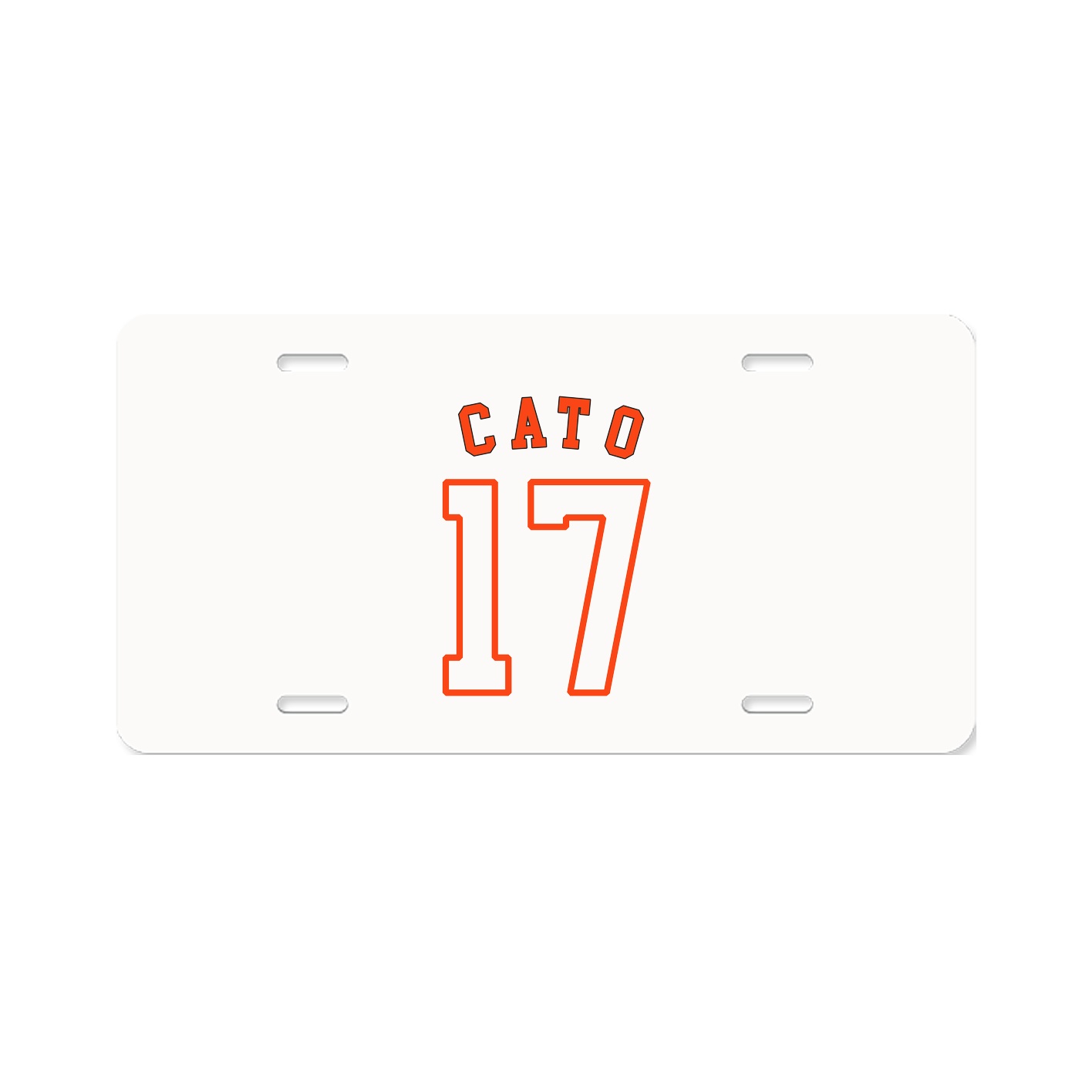 License Plate