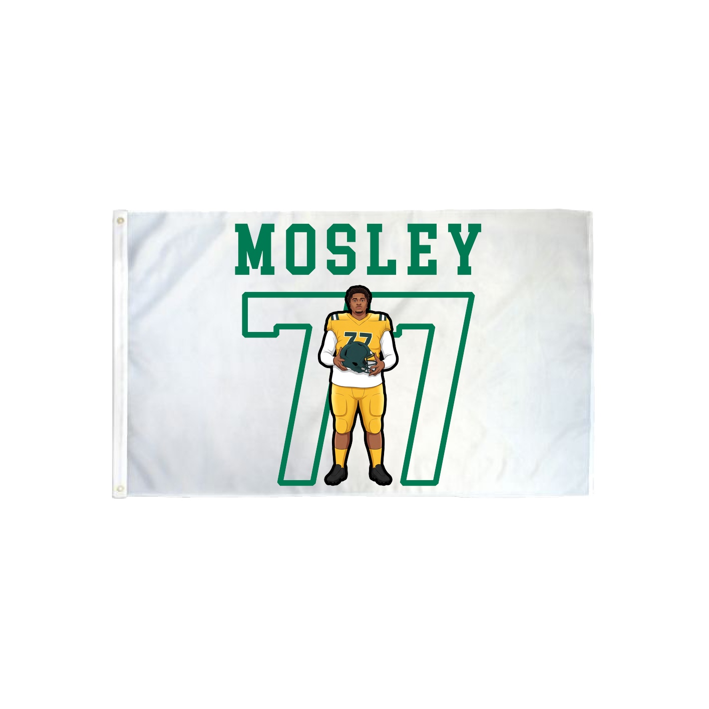 3x5 Flag — Shirsey in Classic