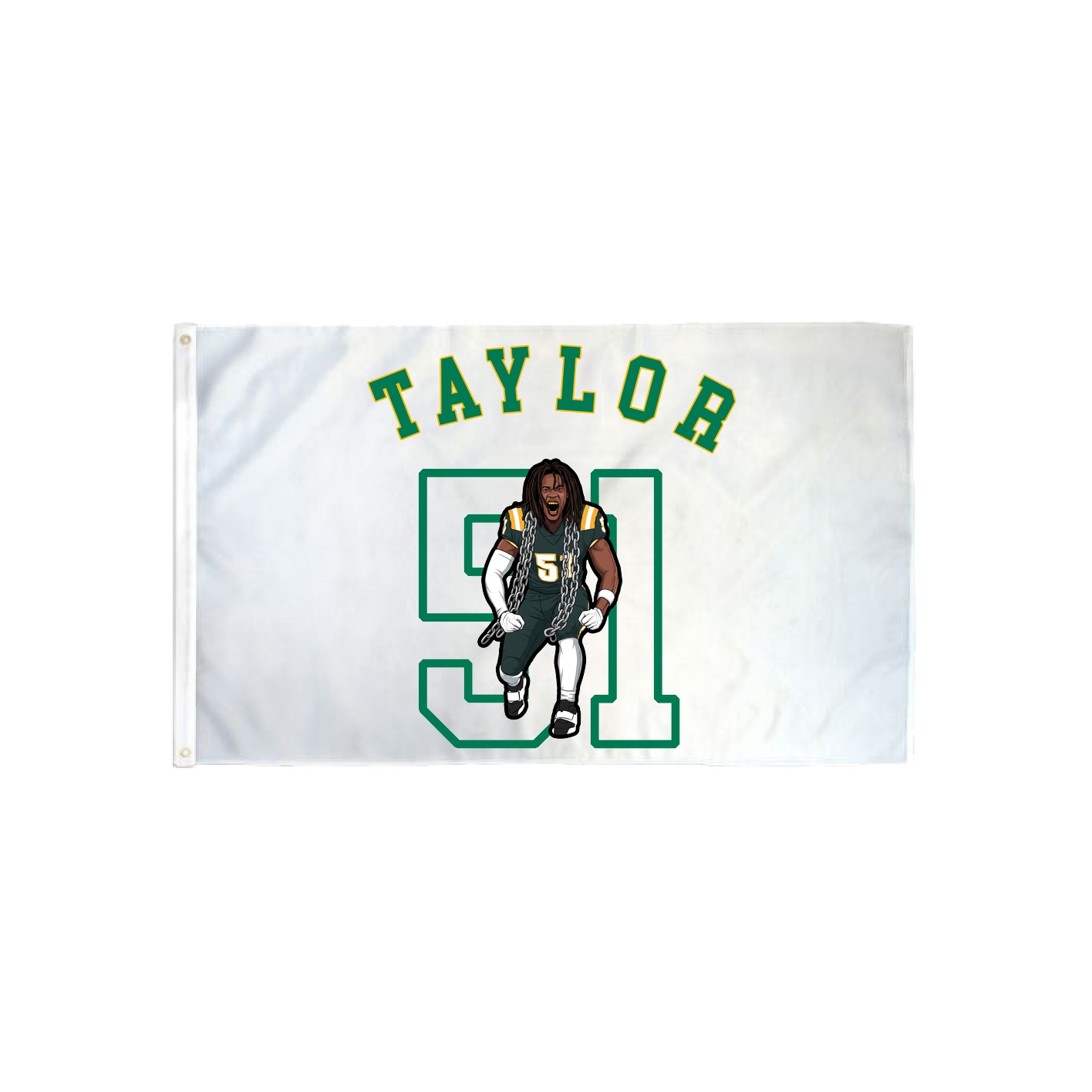 3x5 Flag — Shirsey Arch in Classic