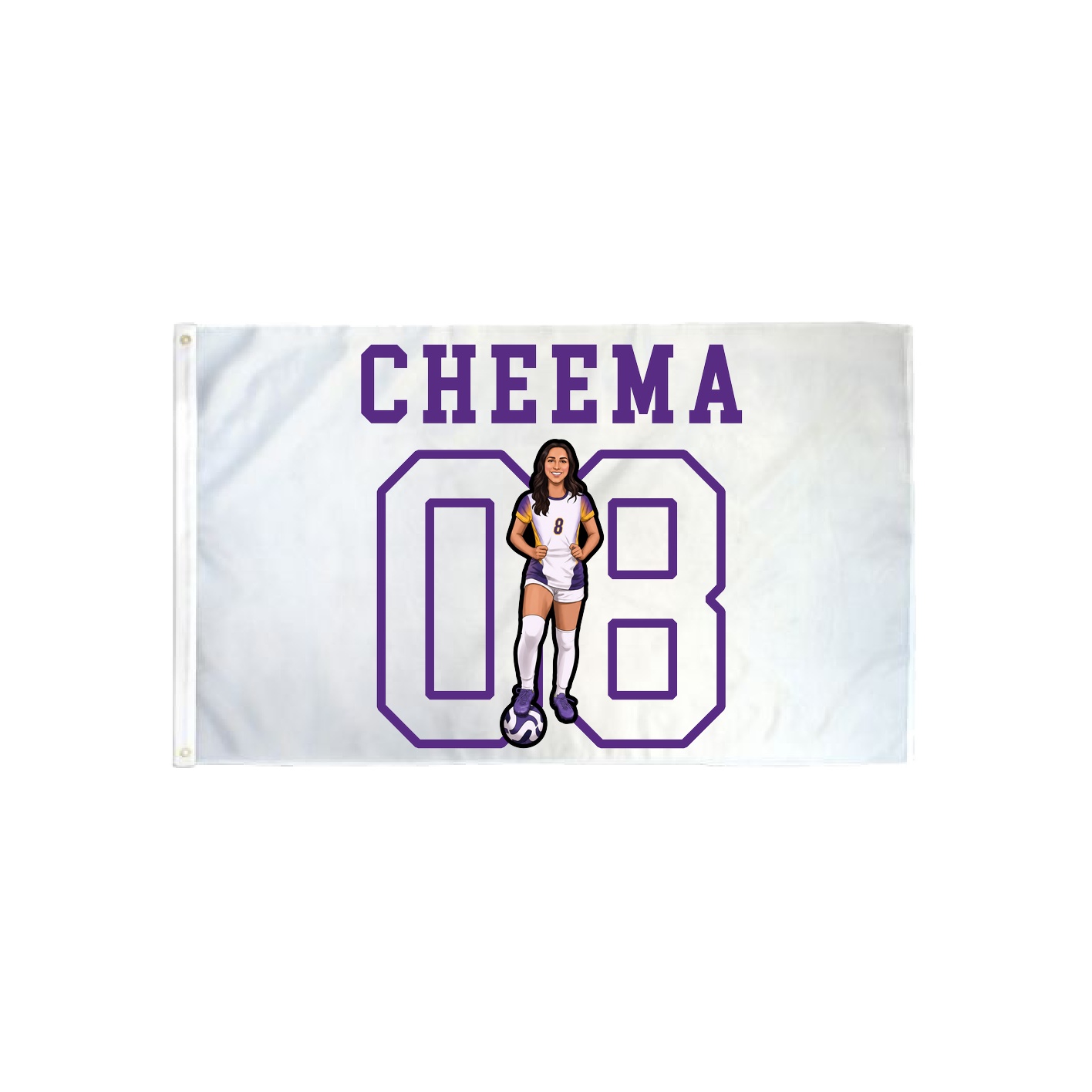 3x5 Flag — Shirsey in Classic