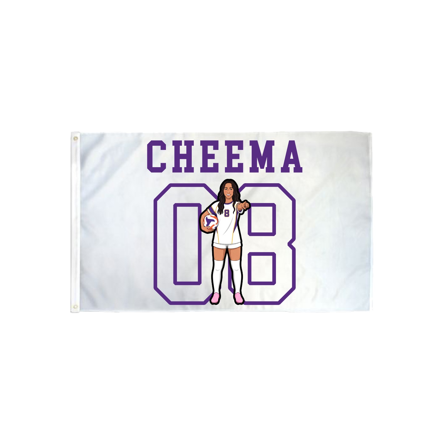 3x5 Flag — Shirsey in Classic