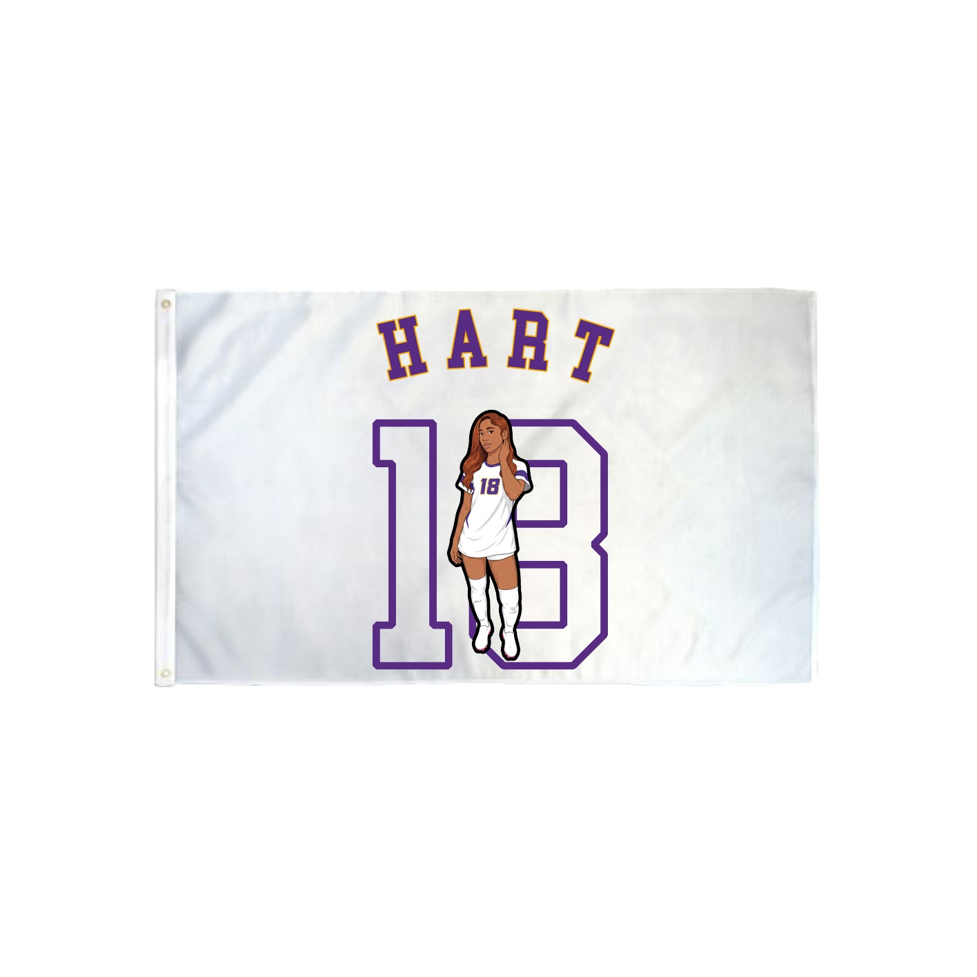 3x5 Flag — Shirsey Arch in Classic